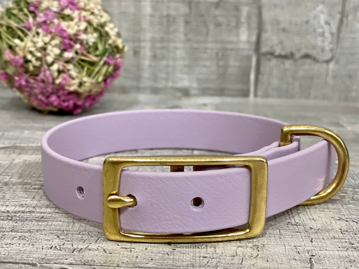 SET Hundeleine und Halsband "Heaven" aus BioThane® und Messing VEGAN - LoveBandit