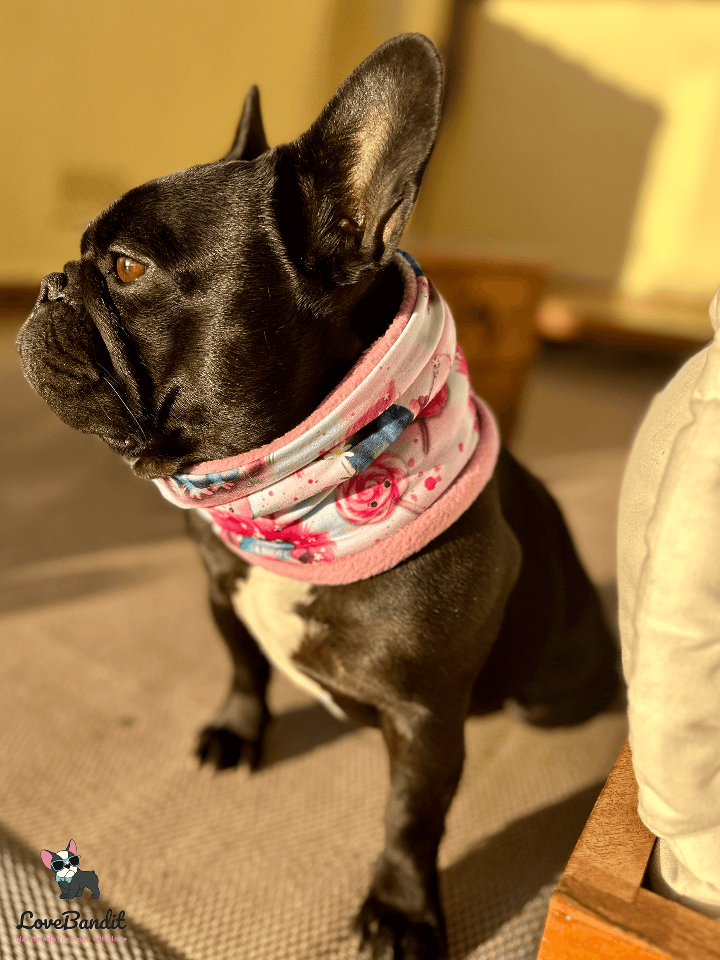 Hundeschal Hundeloop "Zuckersüsse Trolle" pink - LoveBandit