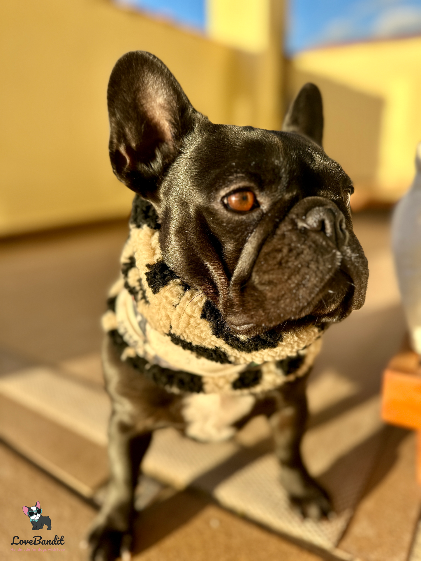 Hundeschal Hundeloop "Kleiner Stinker" Pupsi - LoveBandit