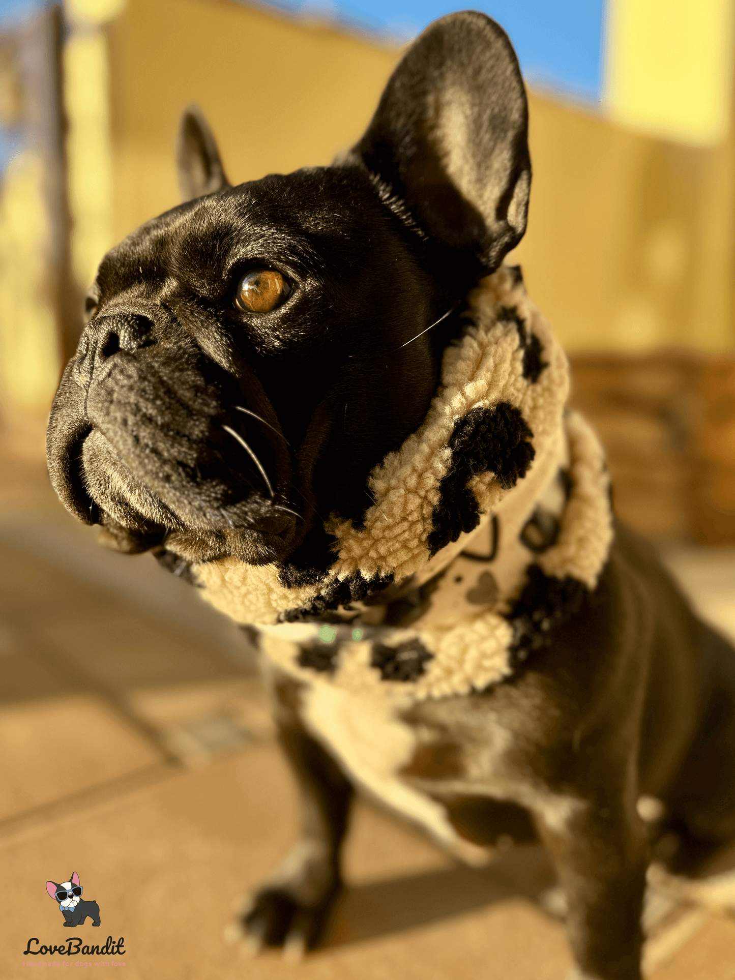 Hundeschal Hundeloop "Kleiner Stinker" Pupsi - LoveBandit