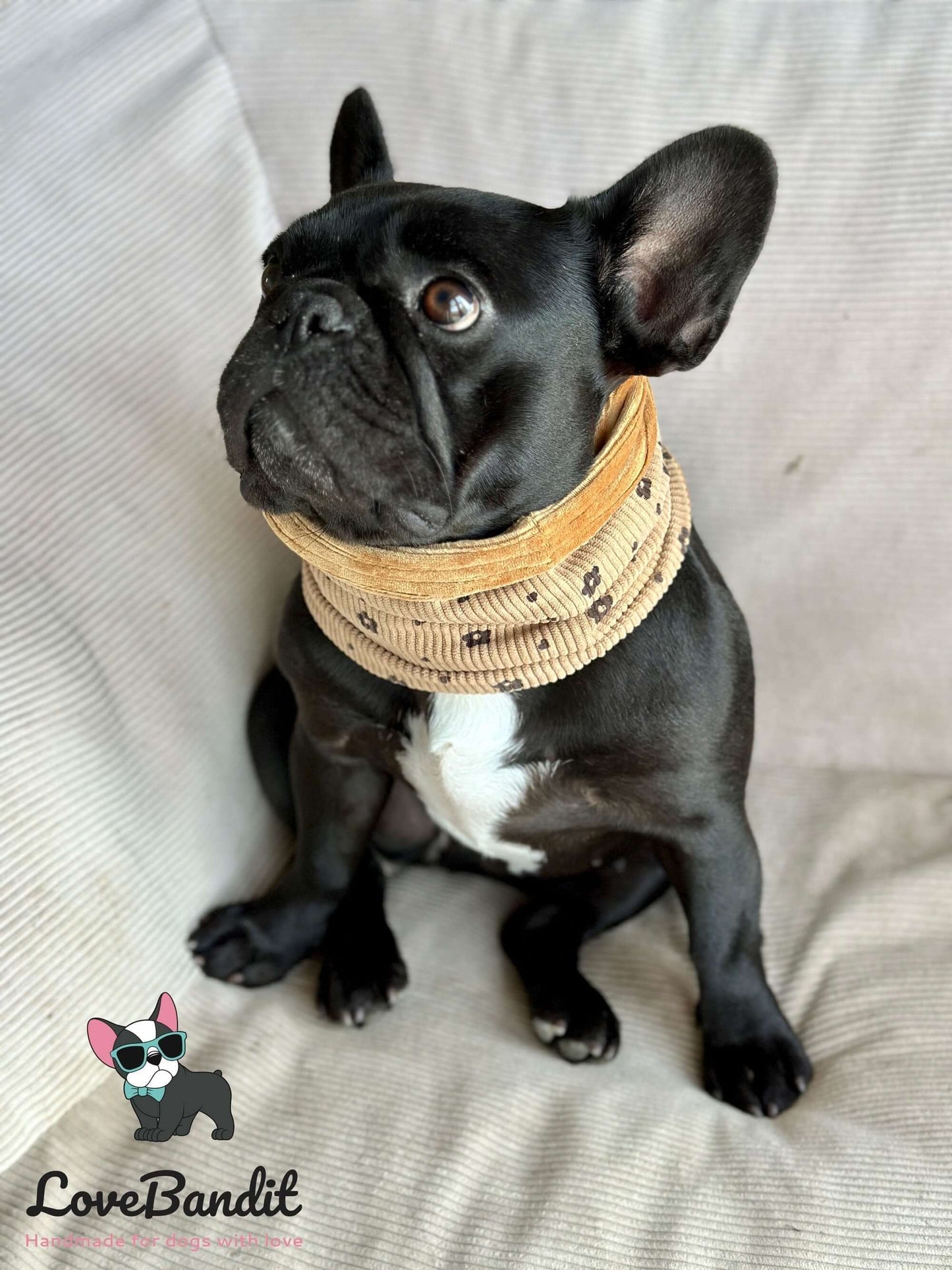 Hundeloop Hundeschal Cord Bluemchen - LoveBandit