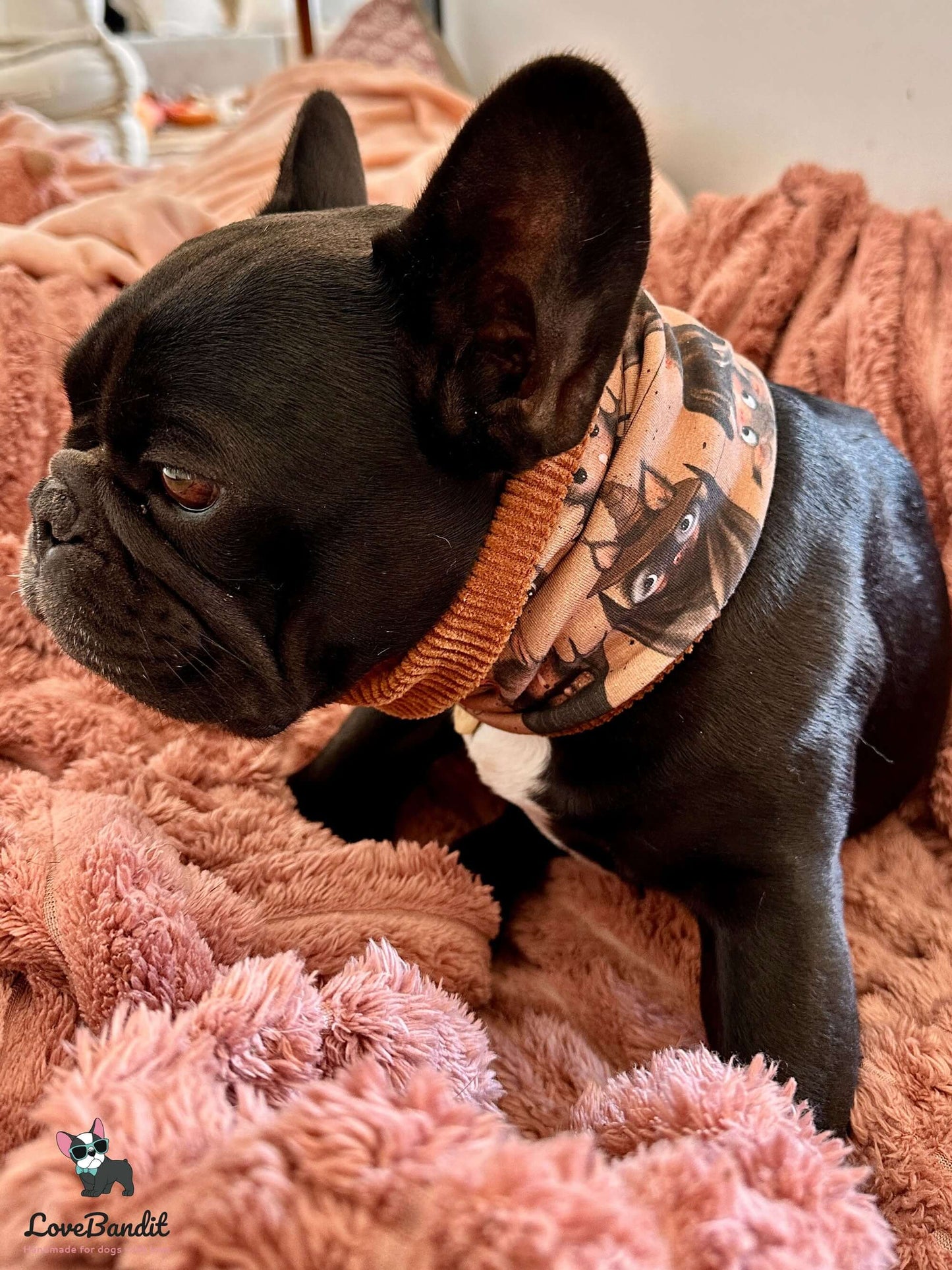 Hundeloop Hundeschal Fledermaus-braun-LoveBandit