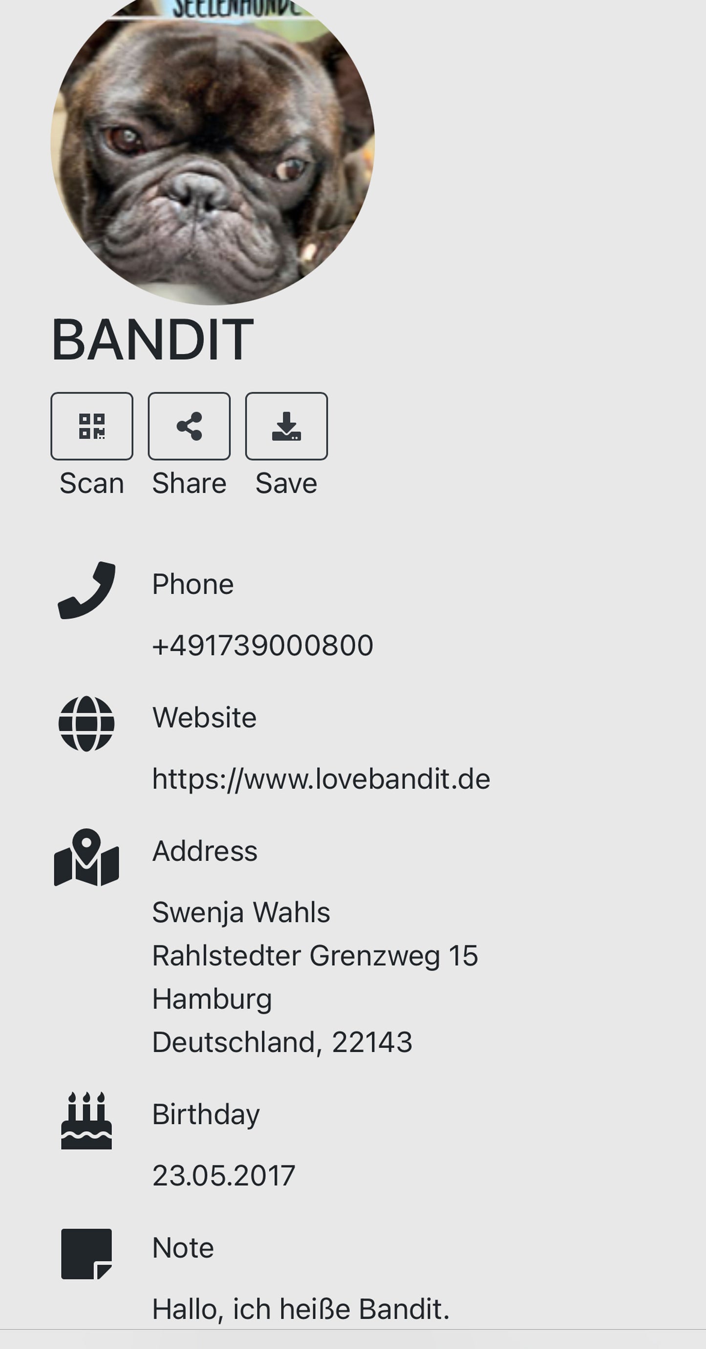 Besondere leichte Hundemarke Meer aus Resin Visitenkarte - LoveBandit