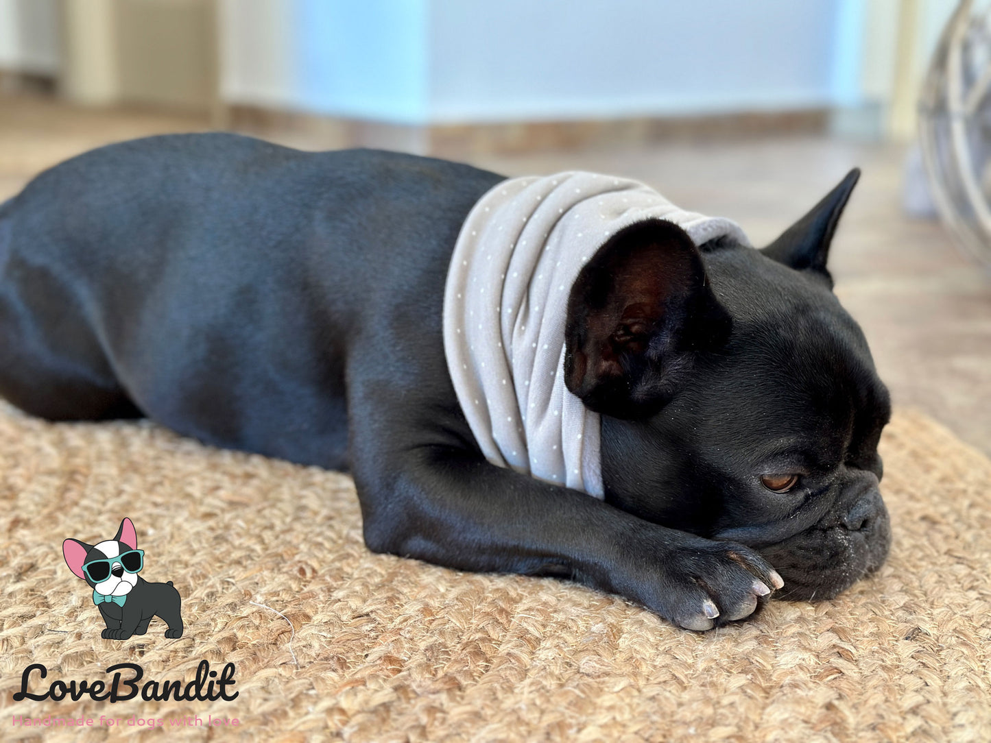 Hundeloop Hundeschal Mini Punkte taupe - LoveBandit