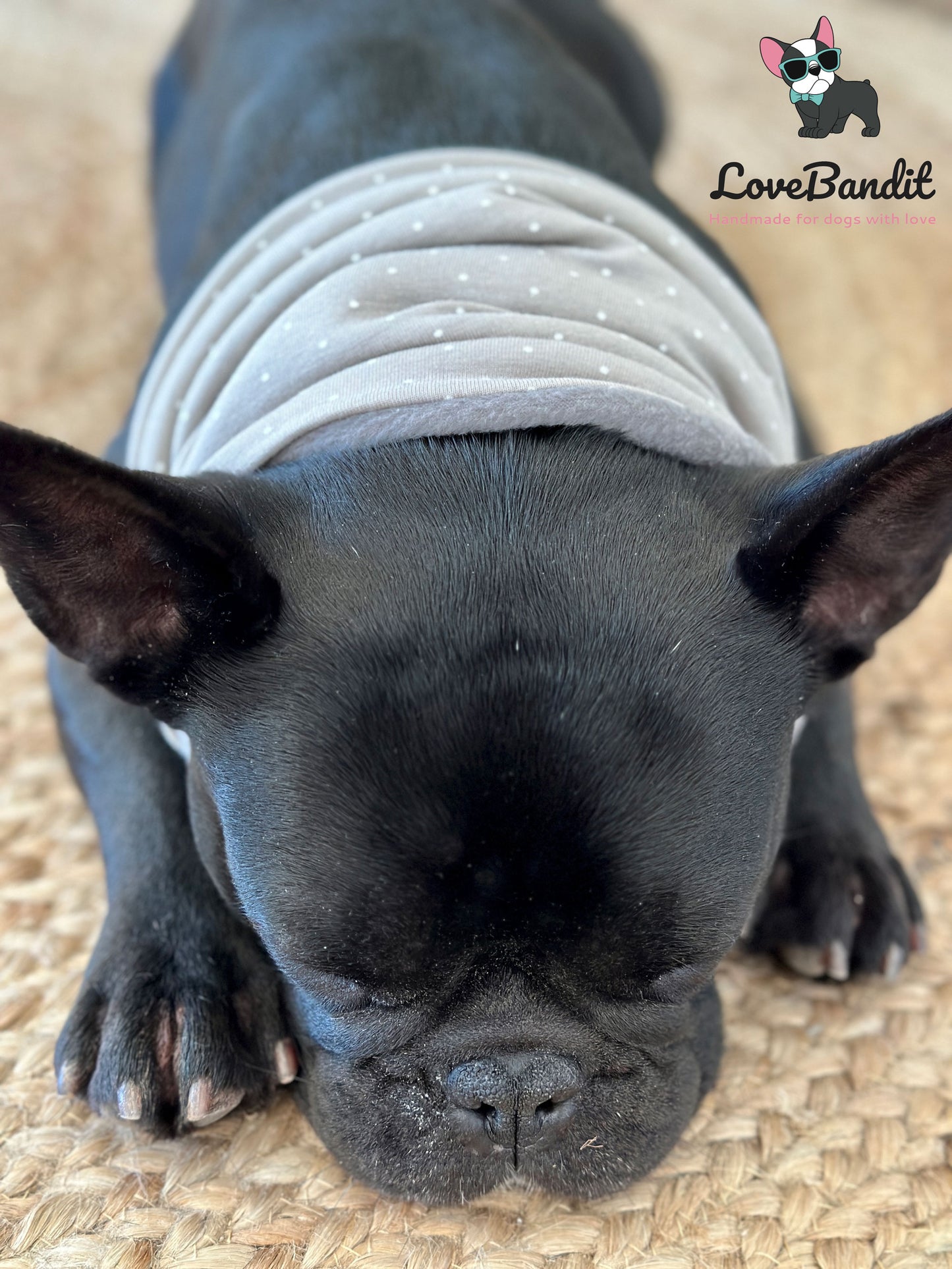 Hundeloop Hundeschal Mini Punkte taupe - LoveBandit