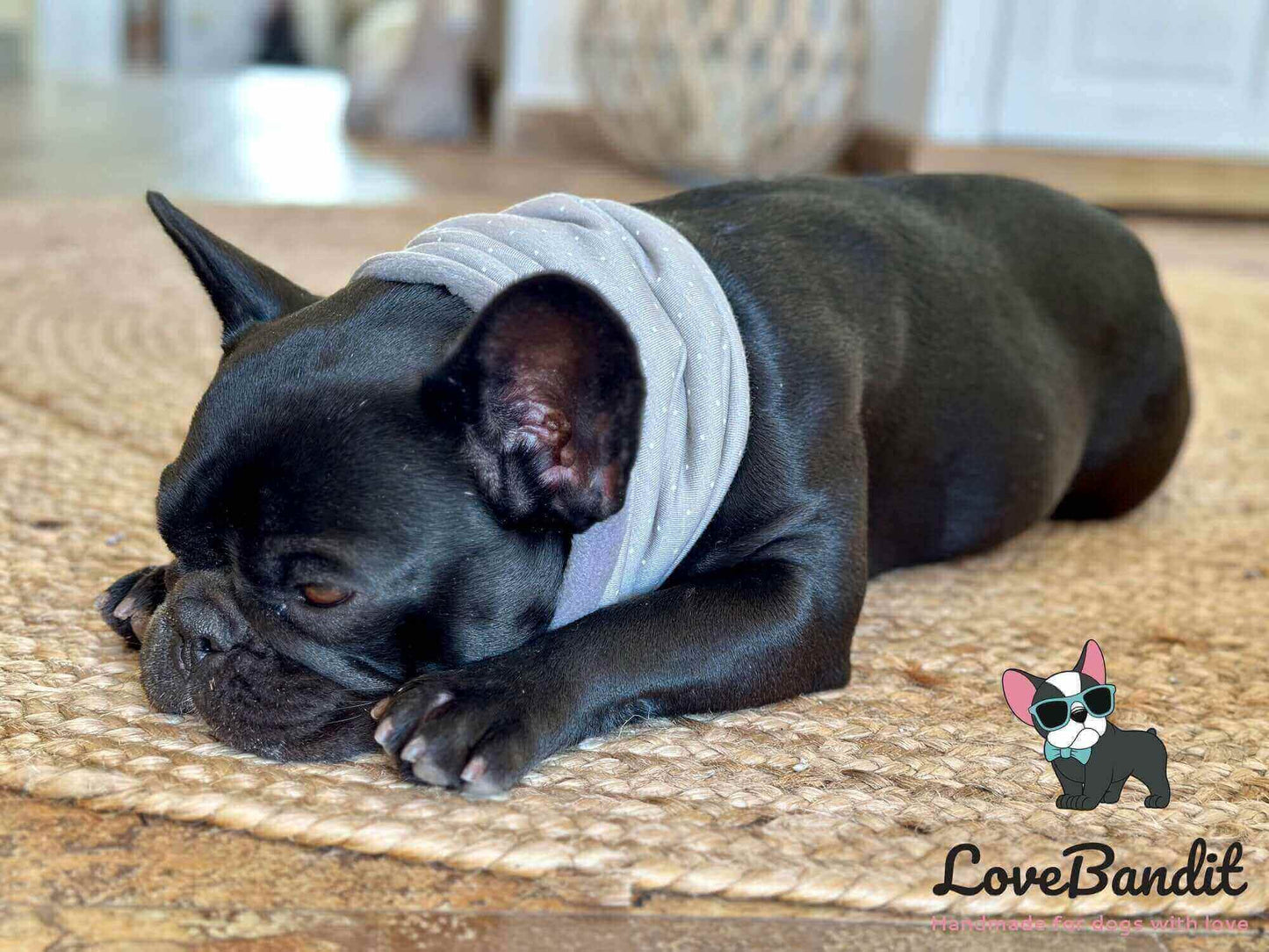 Hundeloop Hundeschal - LoveBandit