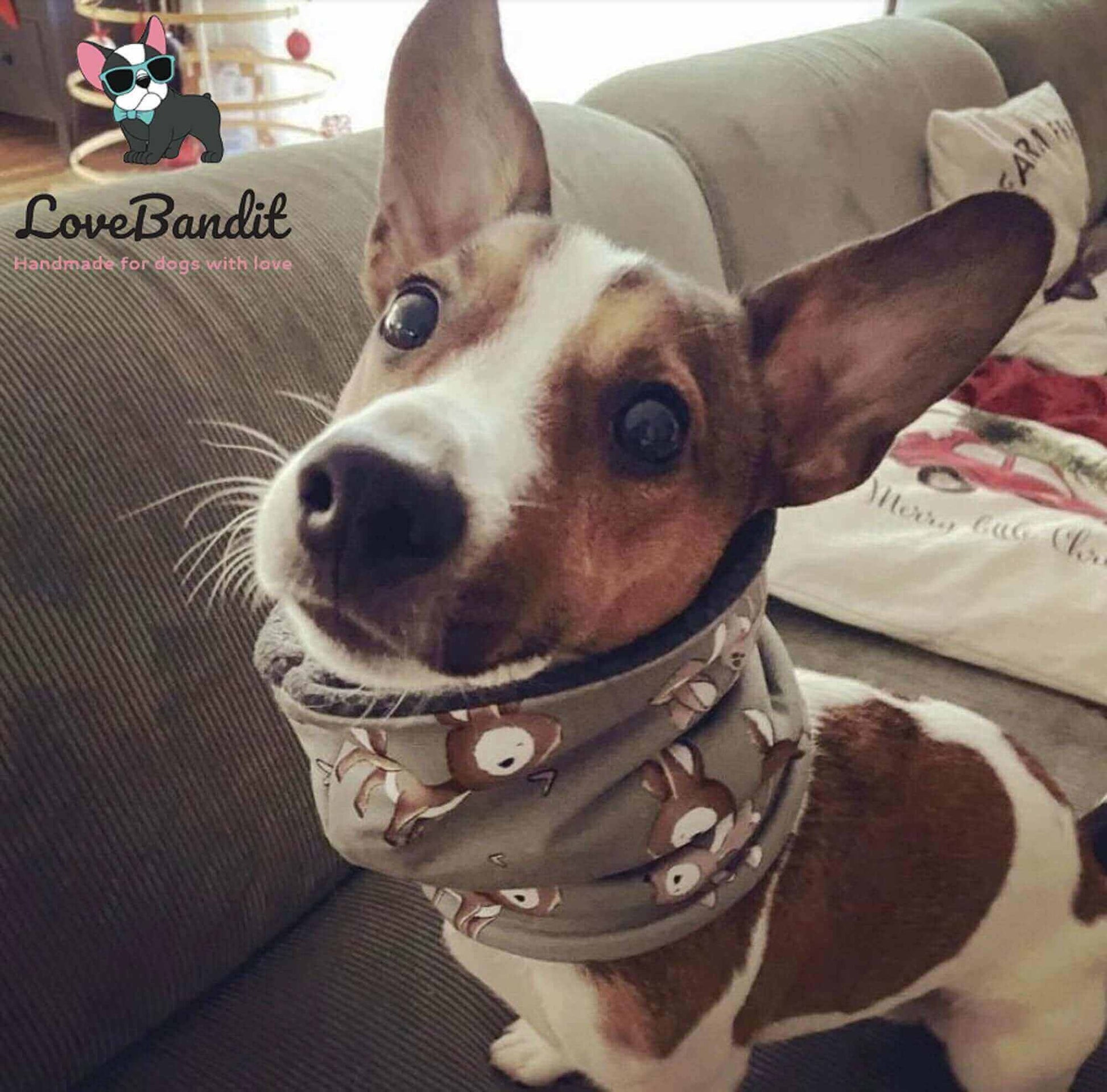 Hundeloop Hundeschal Rehliebe altgruen - LoveBandit