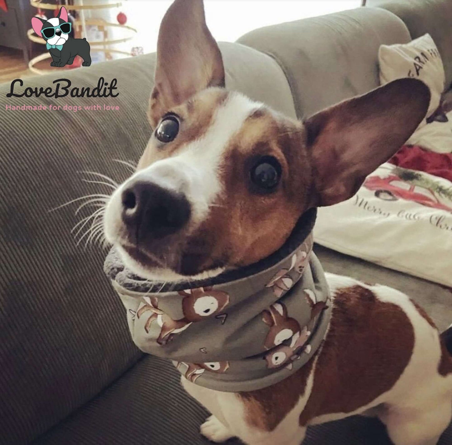 Hundeloop Hundeschal "Smiley" grau gelb - LoveBandit