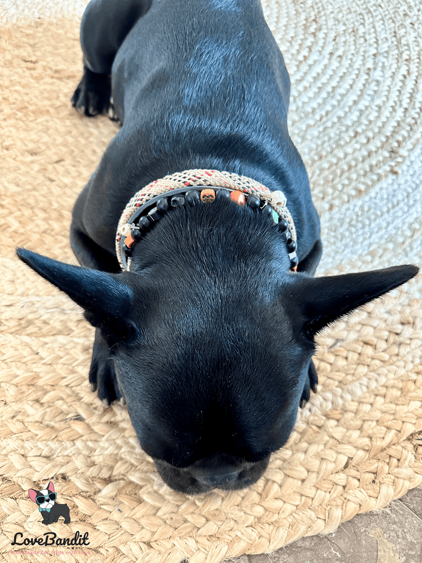 Schmuckkette - Halloween Halsband für Hunde mit Totenköpfen - LoveBandit