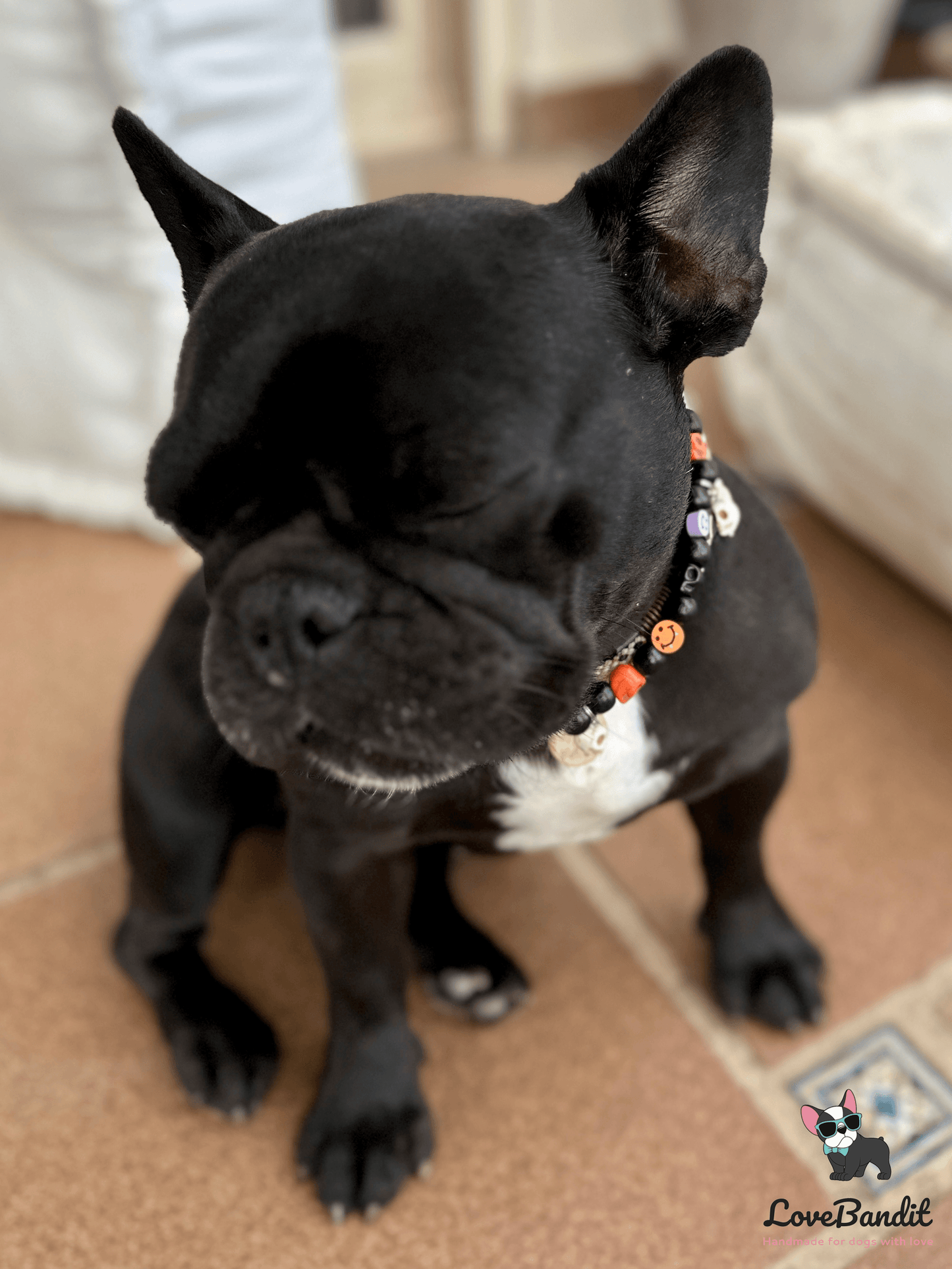 Schmuckkette - Halloween Halsband für Hunde mit Totenköpfen - LoveBandit