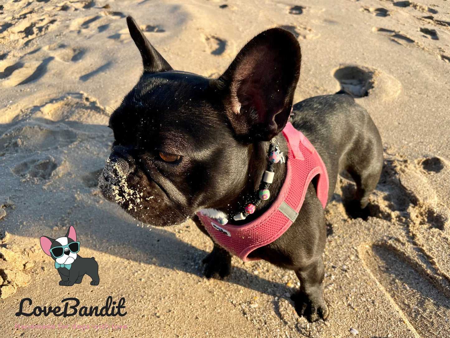 EM-Keramik Halsband Bunte Perlen mit Anhänger - LoveBandit