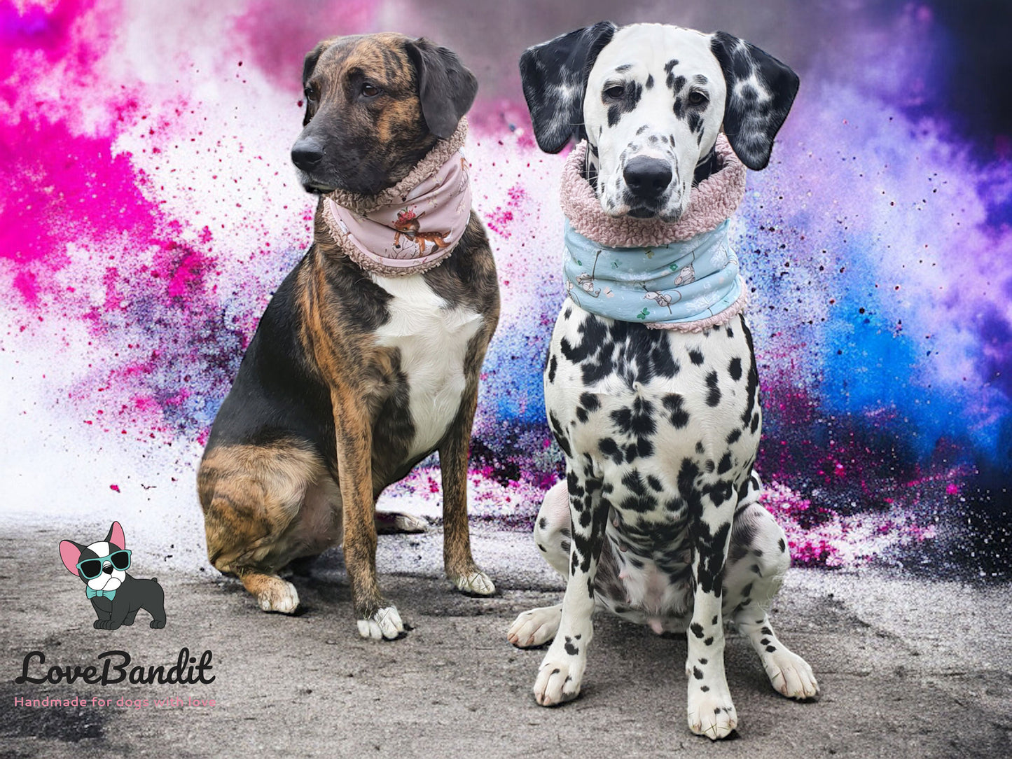 Hundeloop Hundeschal Maus Pusteblume Mint - LoveBandit