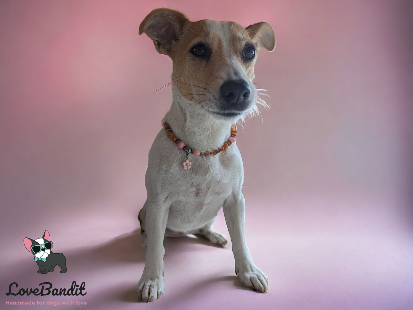 Bernsteinkette für Hunde Zeckenhalsband Skull - LoveBandit