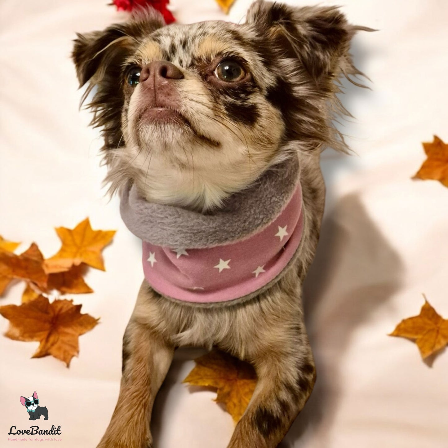 🌙 Hundeloop „Bat Night“ – Kuscheliger Loop-Schal für Hunde