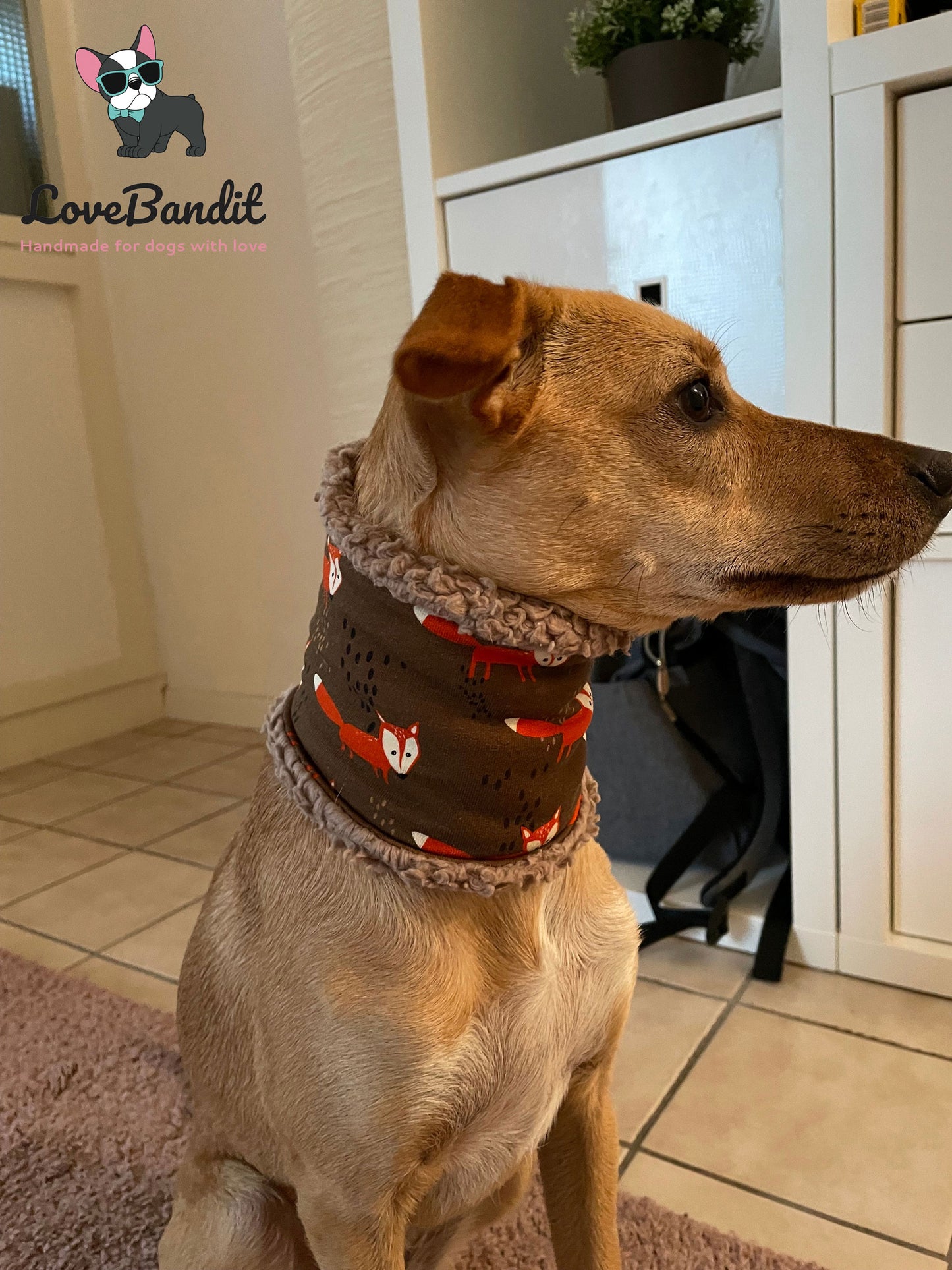 Hundeloop Hundeschal Affen blau Fleece Teddyplüsch - LoveBandit