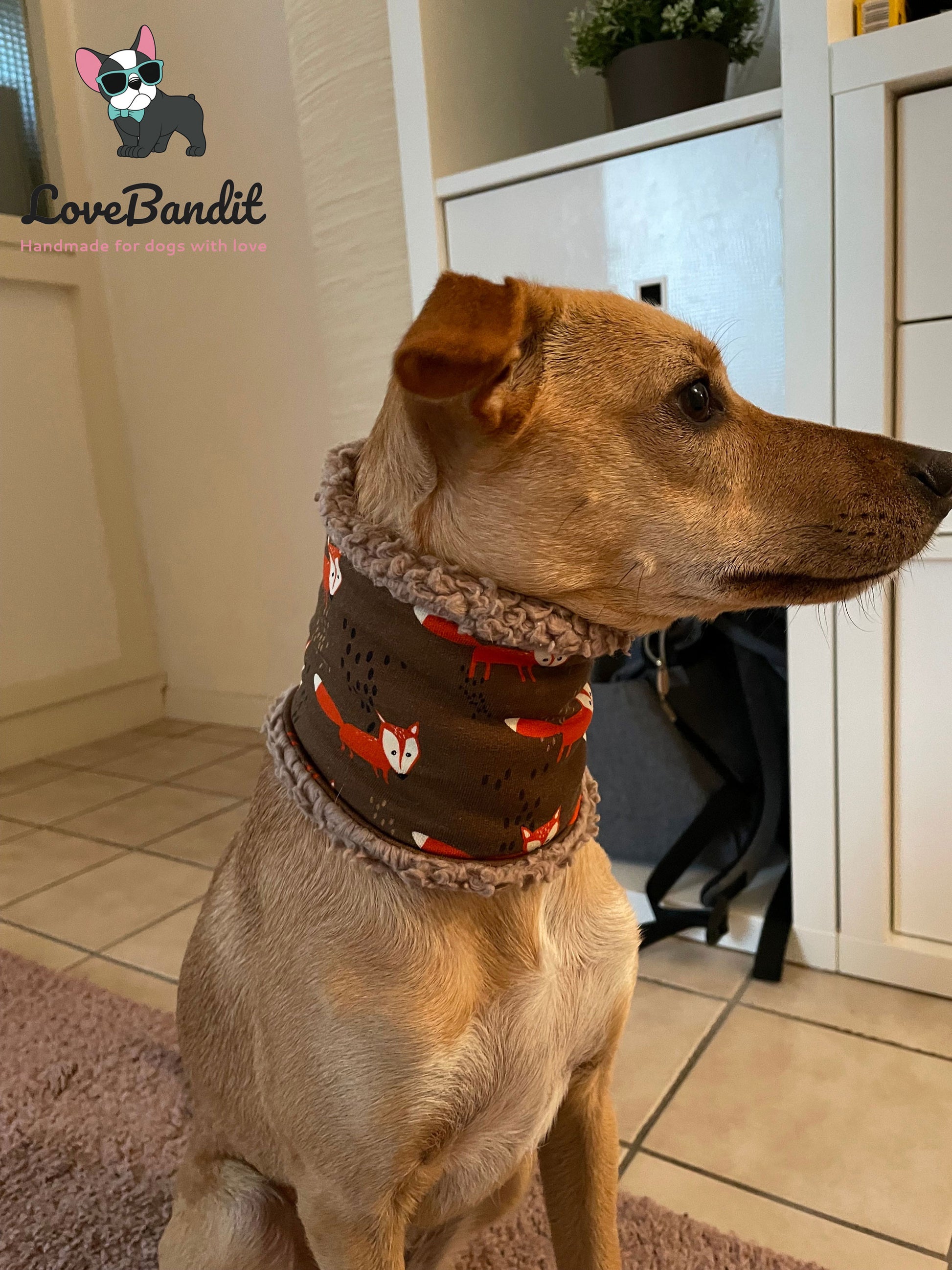 Hundeloop Hundeschal Affen blau Fleece Teddyplüsch - LoveBandit