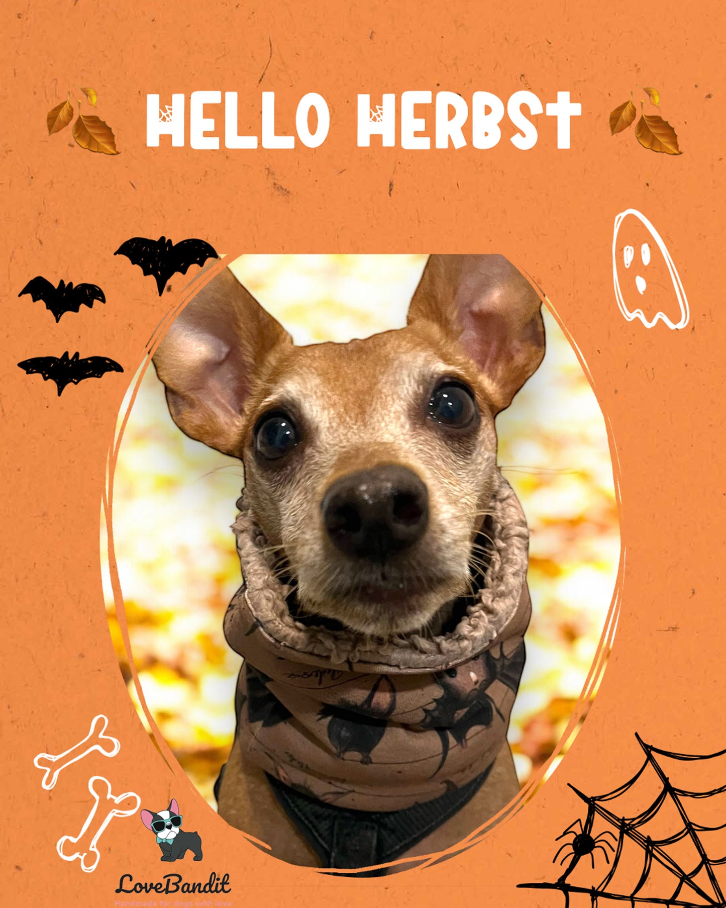 Hundeloop Hundeschal Fledermaus-braun-LoveBandit