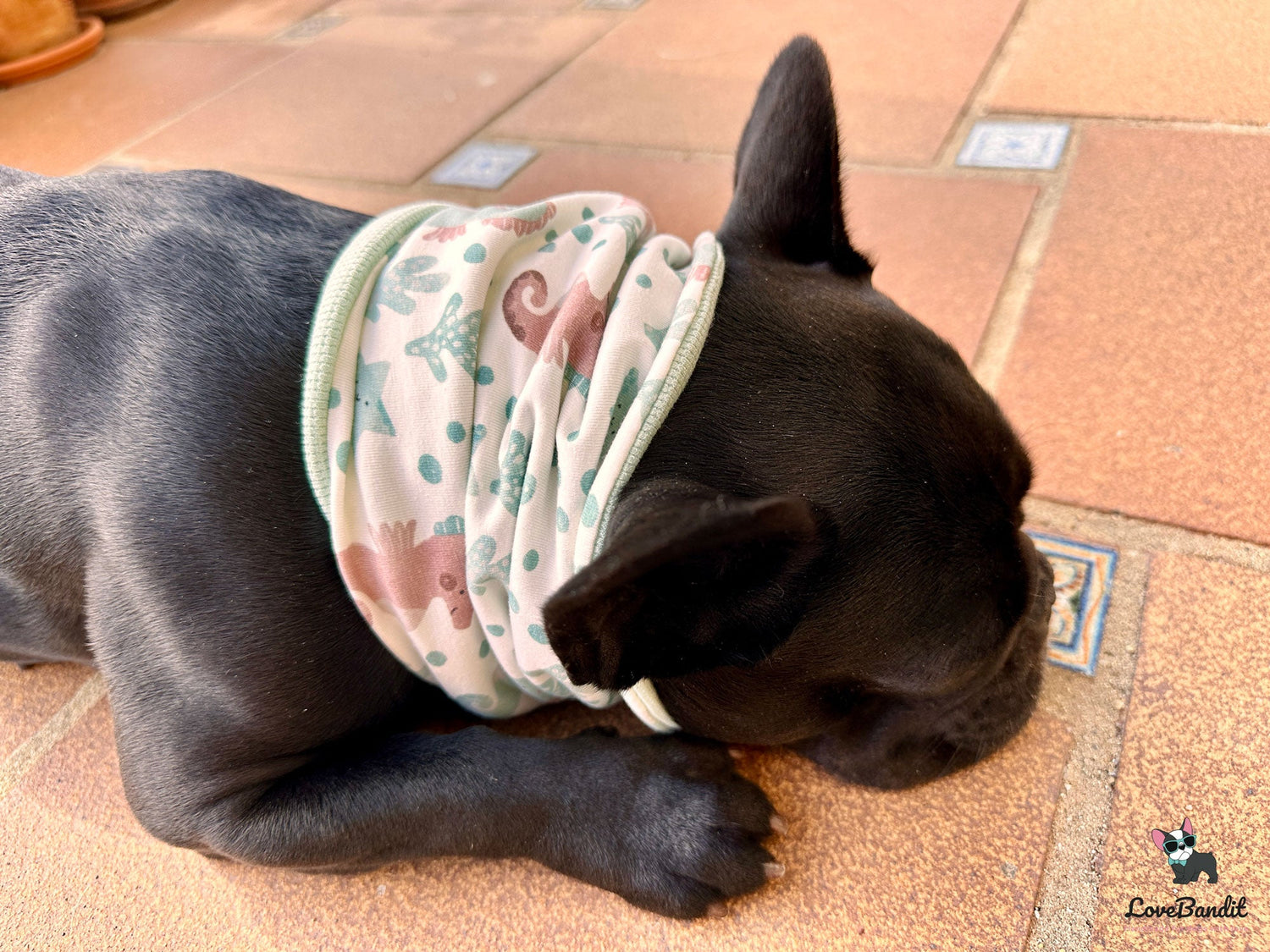 Hundeloop-Fruehling-Sommer-Seepferdchen-mint-LoveBandit