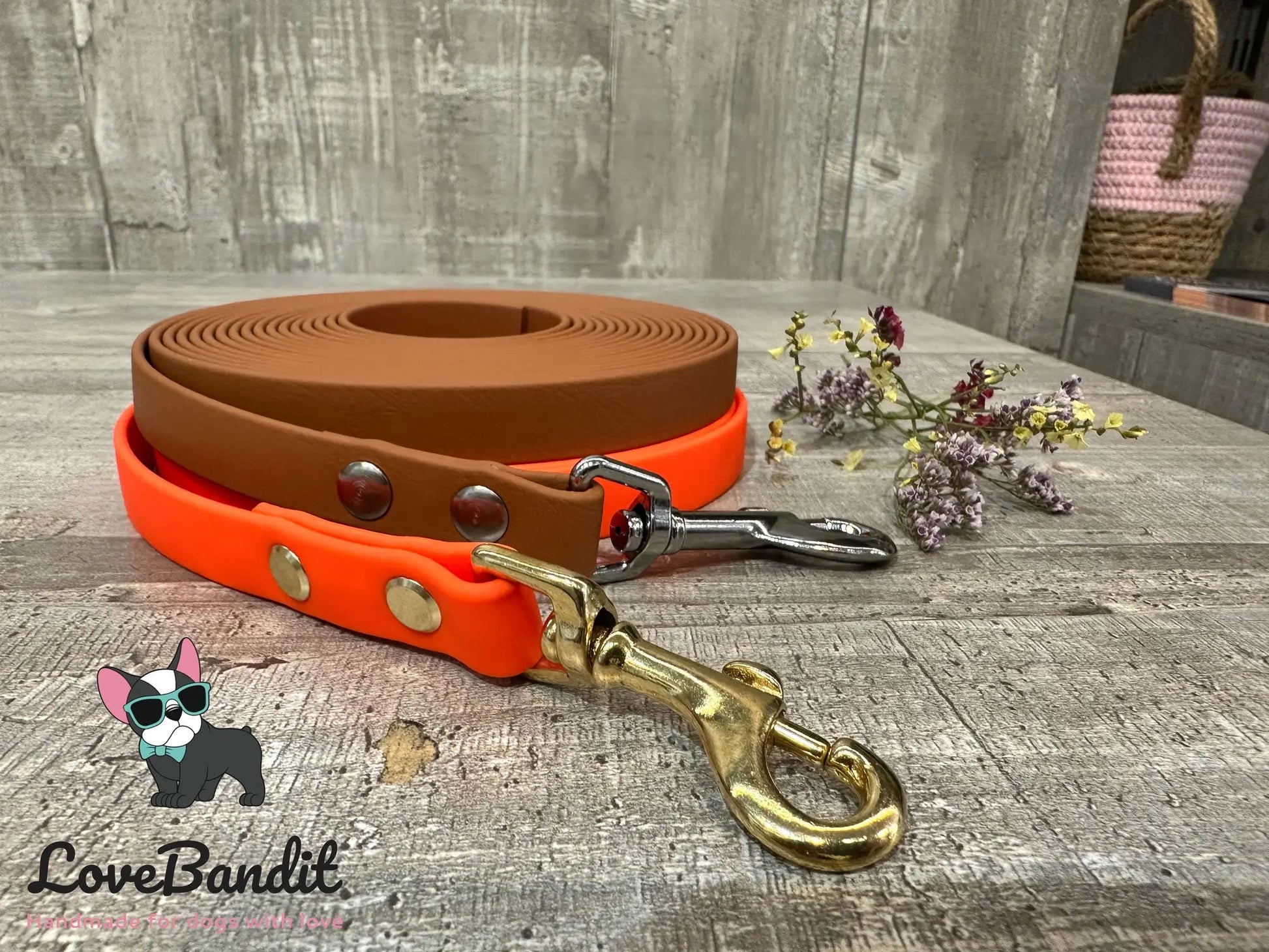 Alltagsleine "Abgeschleppt" 3m Länge aus BioThane® 16 mm (mittlerer Hund) - LoveBandit