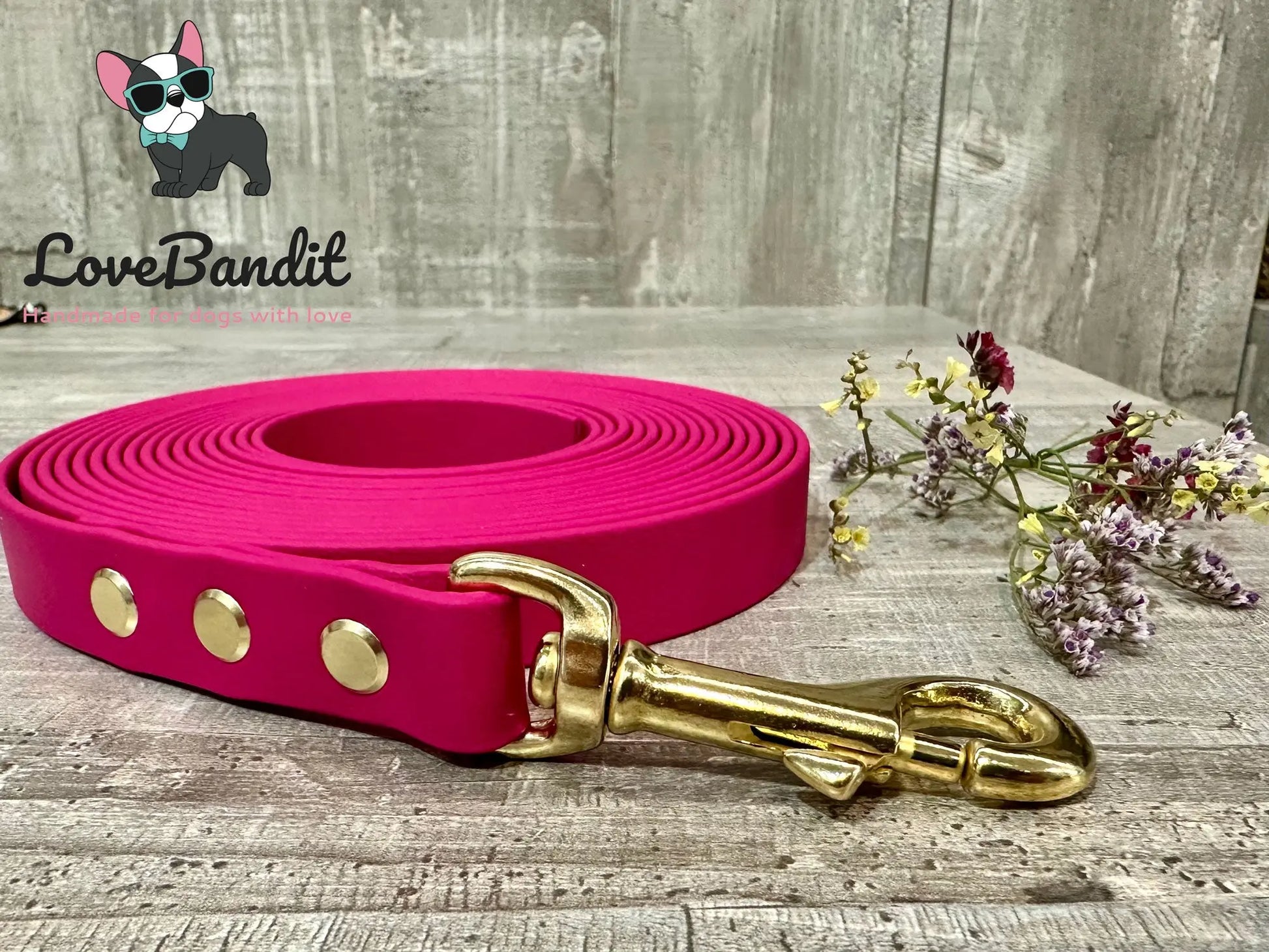 Alltagsleine "Abgeschleppt" 3m Länge aus BioThane® 16 mm (mittlerer Hund) - LoveBandit