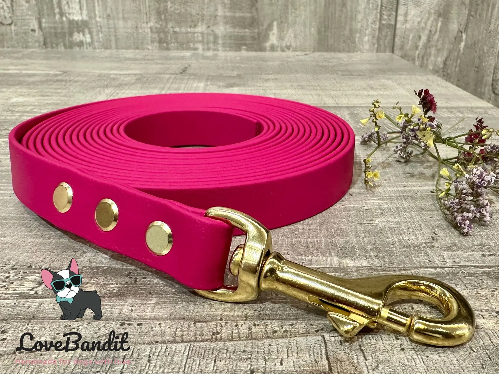 Alltagsleine "Abgeschleppt" 3m Länge aus BioThane® 16 mm (mittlerer Hund) - LoveBandit