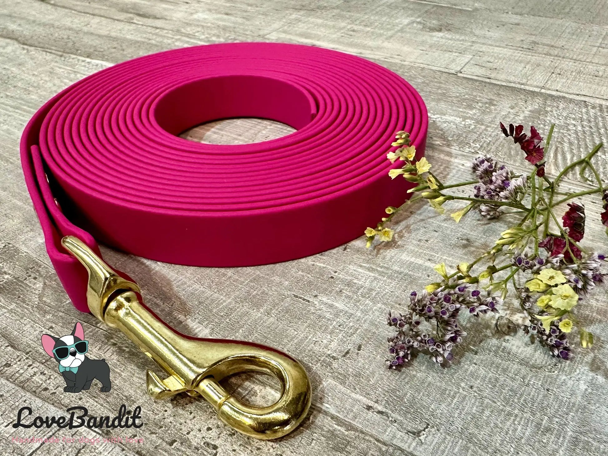 Alltagsleine "Abgeschleppt" 3m Länge aus BioThane® 16 mm (mittlerer Hund) - LoveBandit