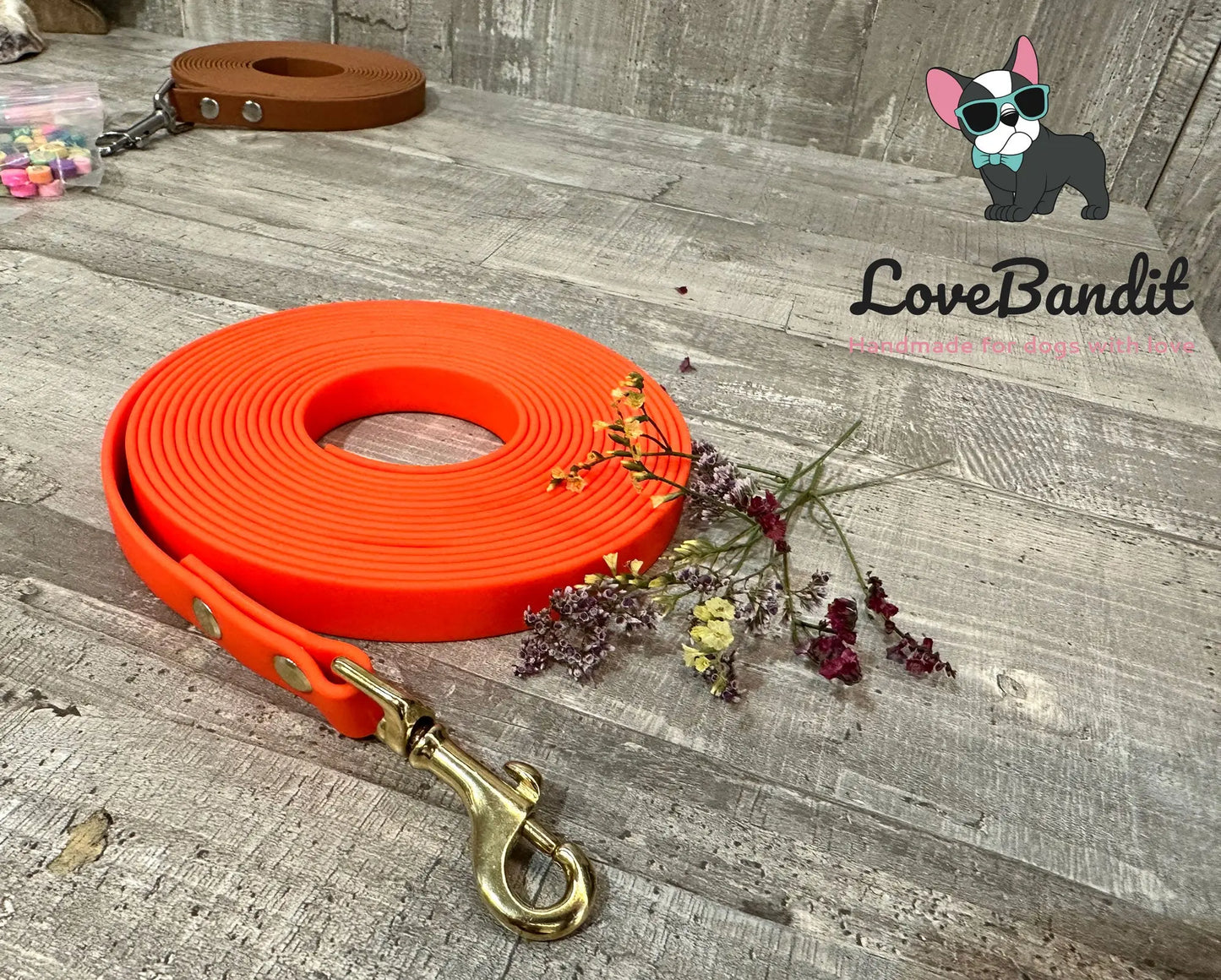 Alltagsleine "Abgeschleppt" 3m Länge aus BioThane® 16 mm (mittlerer Hund) - LoveBandit
