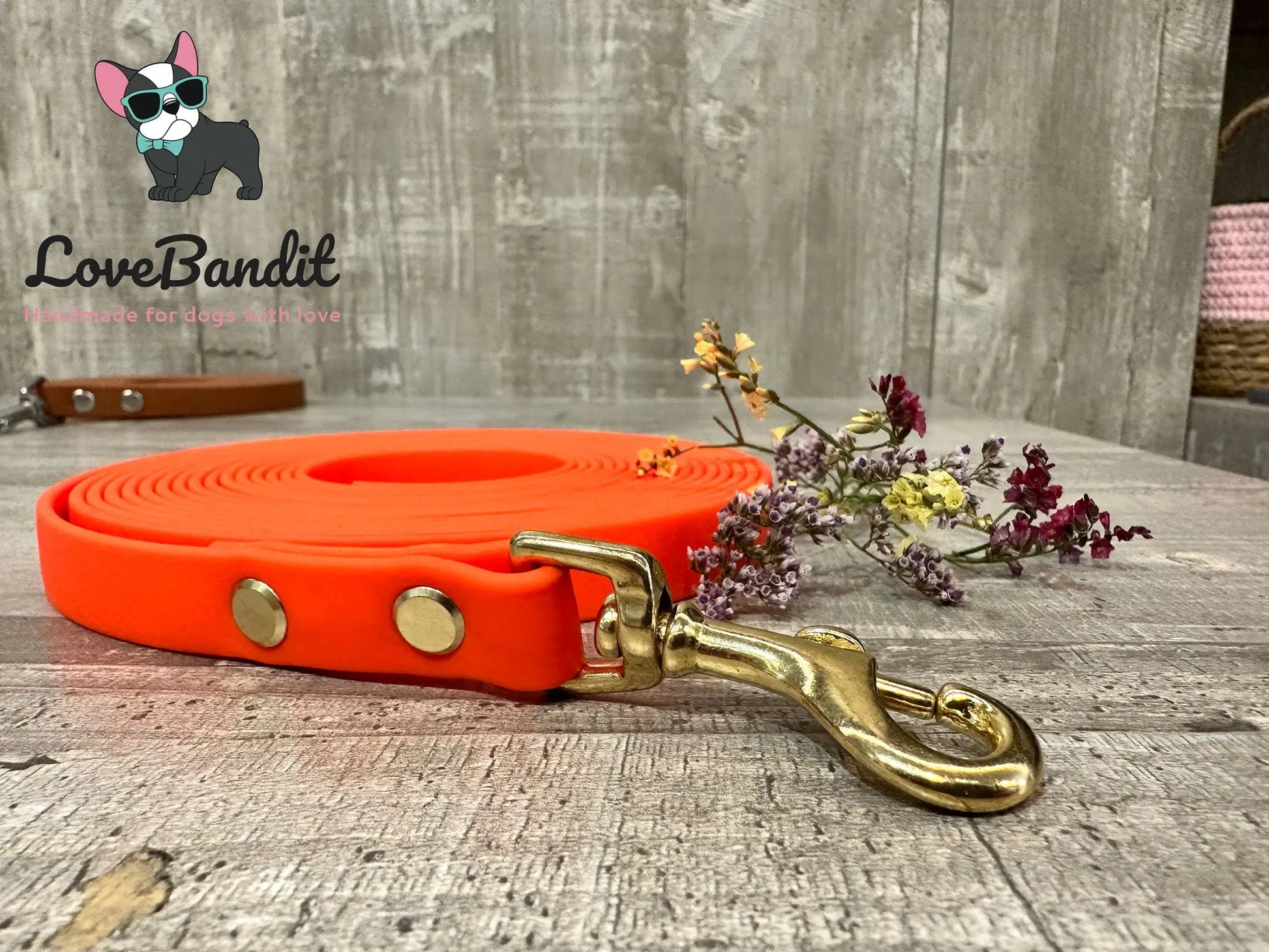 Alltagsleine "Abgeschleppt" 3m Länge aus BioThane® 16 mm (mittlerer Hund) - LoveBandit