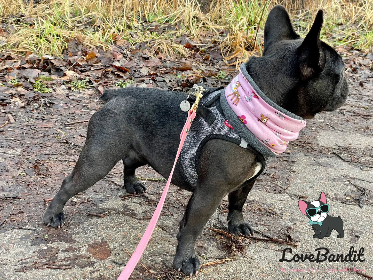 Alltagsleine "Abgeschleppt" 3m Länge aus BioThane® 16 mm (mittlerer Hund) - LoveBandit