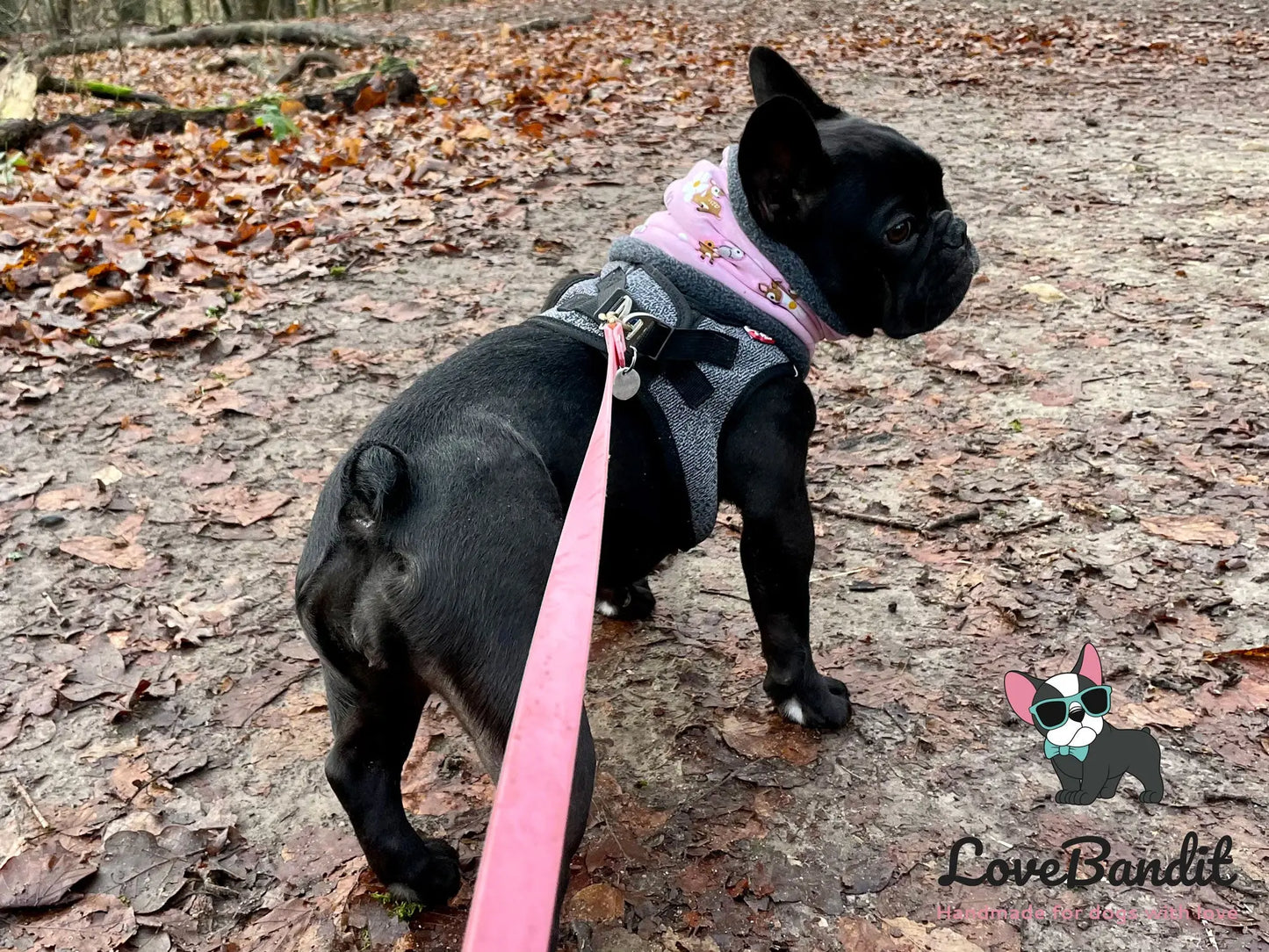 Alltagsleine "Abgeschleppt" 3m Länge aus BioThane® 16 mm (mittlerer Hund) - LoveBandit