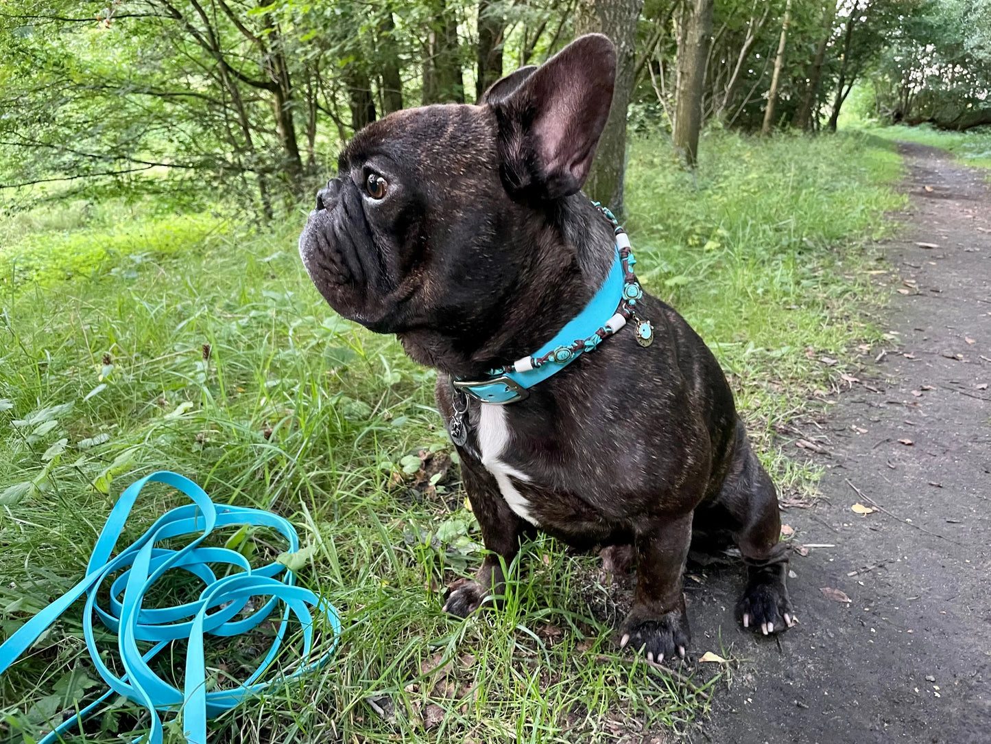 Alltagsleine "Abgeschleppt" 3m Länge aus BioThane® 16 mm (mittlerer Hund) - LoveBandit