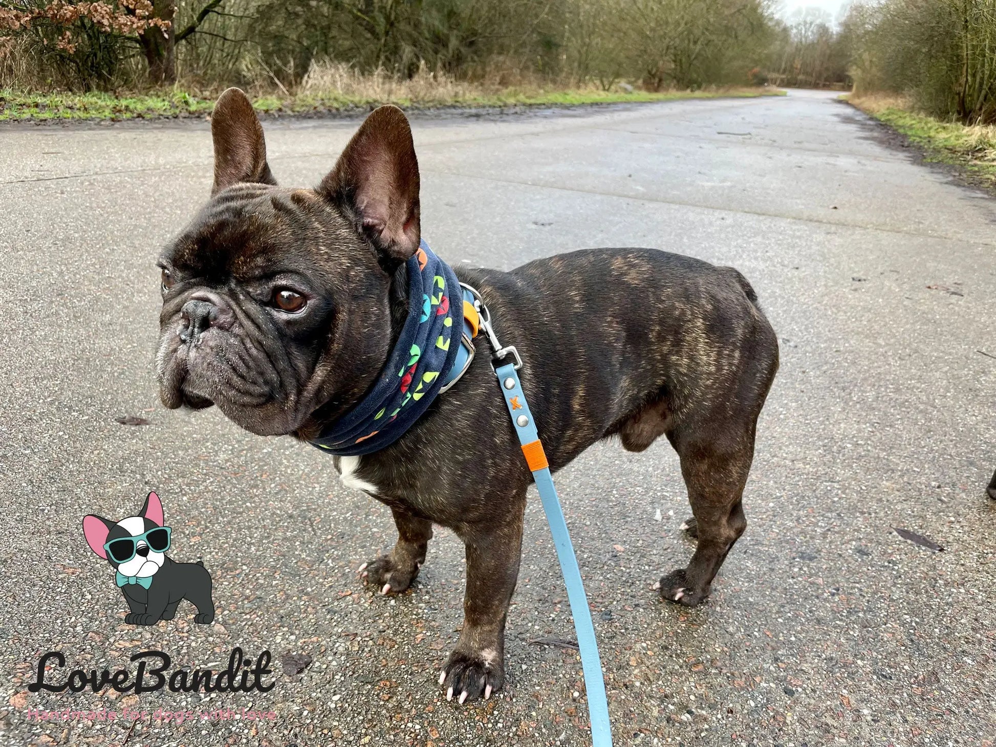 Alltagsleine "Abgeschleppt" 3m Länge aus BioThane® 16 mm (mittlerer Hund) - LoveBandit