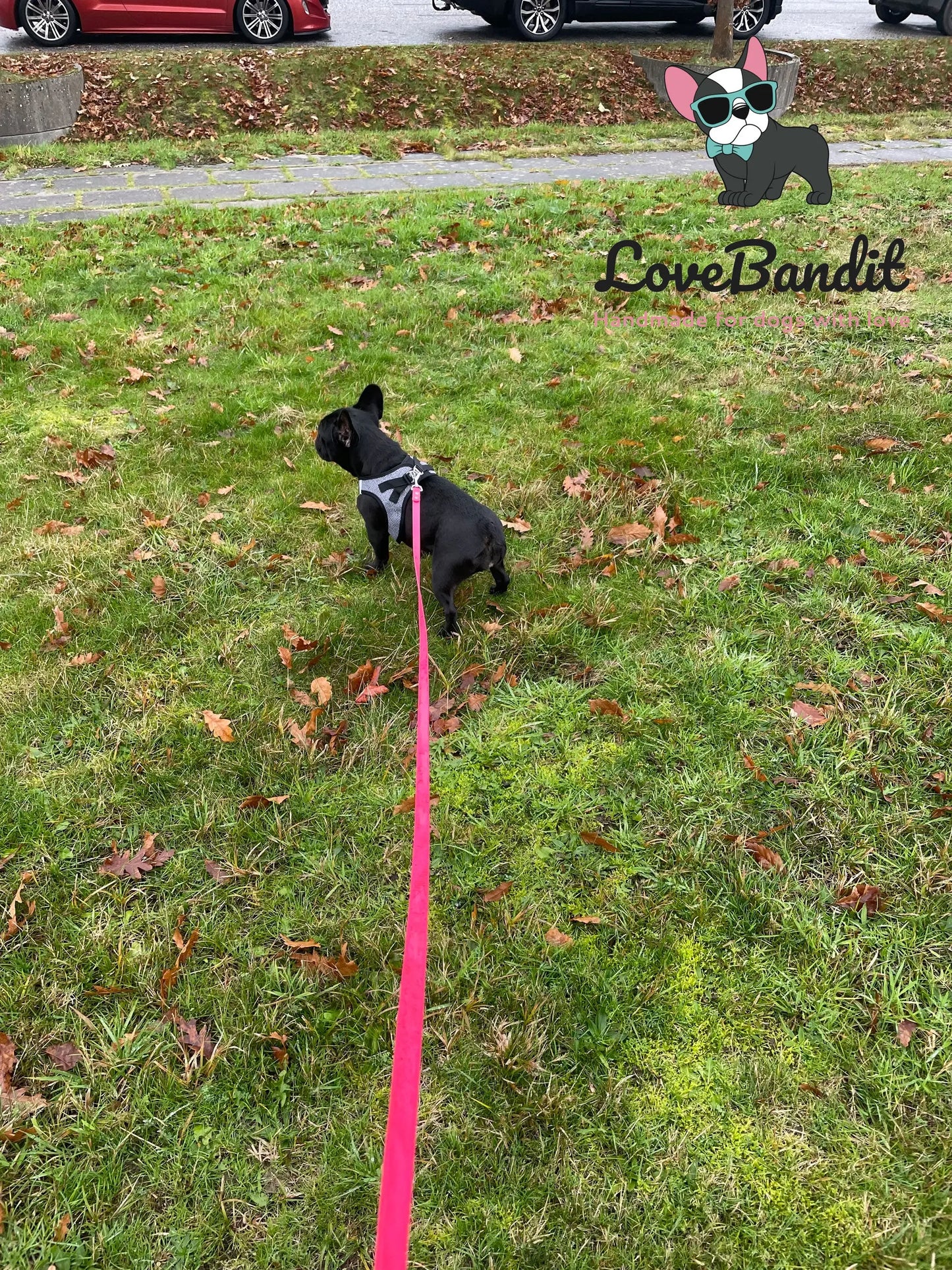 Alltagsleine "Abgeschleppt" 3m Länge aus BioThane® 16 mm (mittlerer Hund) - LoveBandit