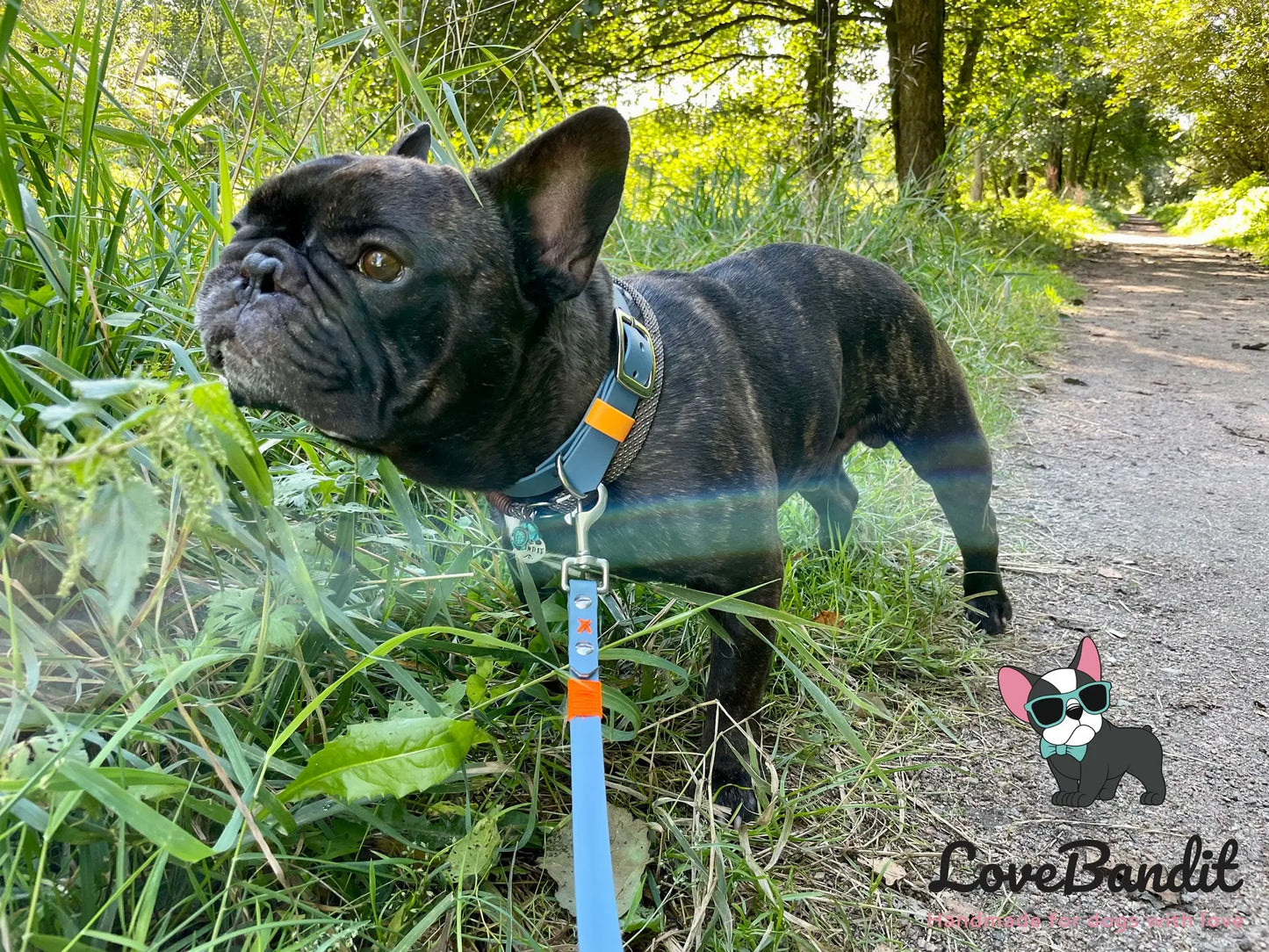 Alltagsleine "Abgeschleppt" 3m Länge aus BioThane® 16 mm (mittlerer Hund) - LoveBandit