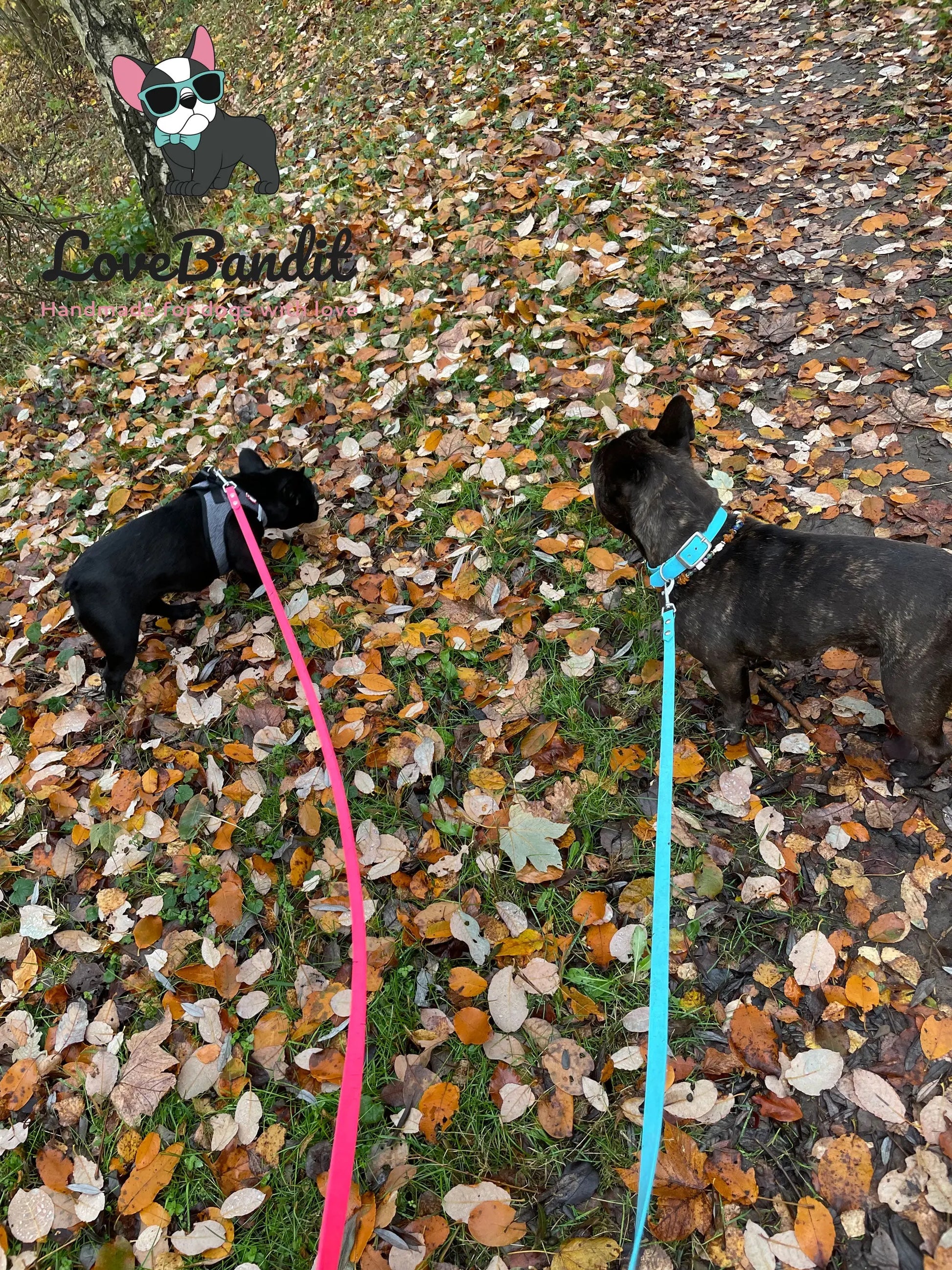 Alltagsleine "Abgeschleppt" 3m Länge aus BioThane® 16 mm (mittlerer Hund) - LoveBandit