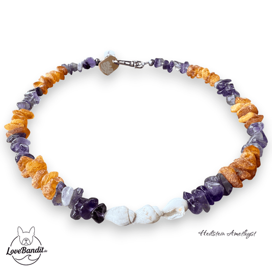 Bernsteinkette für kleinere Hunde mit Amethyst