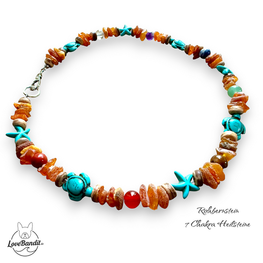 Bernstein-Halsband für Hunde und 7 Chakra-Heilsteine Lovebandit