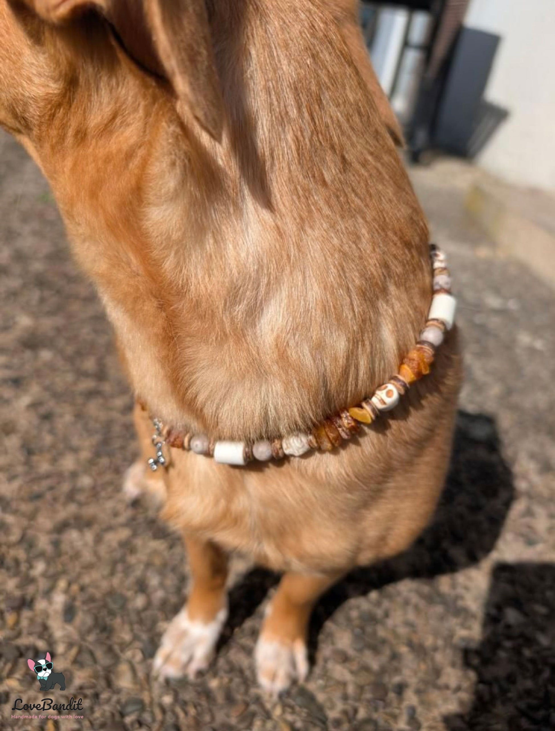 Bernsteinkette für Hunde „Flintstones“ mit EM-Keramik und Totenköpfen Lovebandit