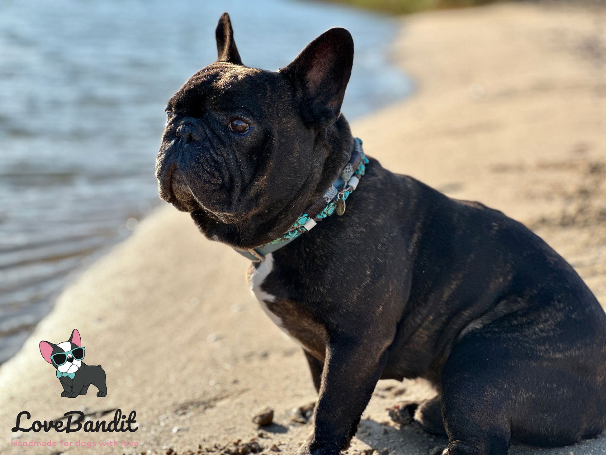 EM Keramik Hundehalsband "Schildkröten & Seesterne" (Türkis) LoveBandit