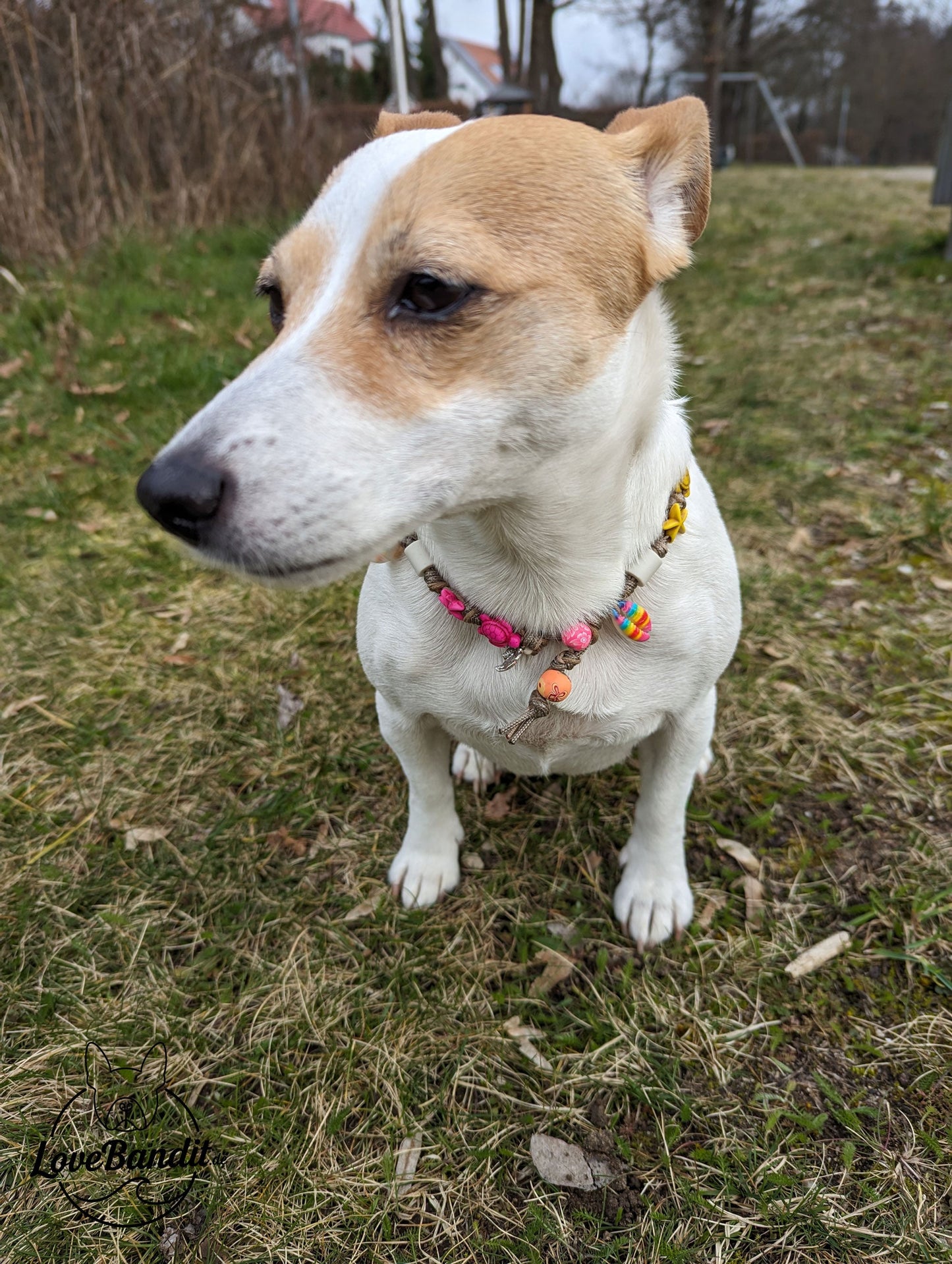 EM-Keramik Halsband bunte Muscheln Schildkröten LoveBandit