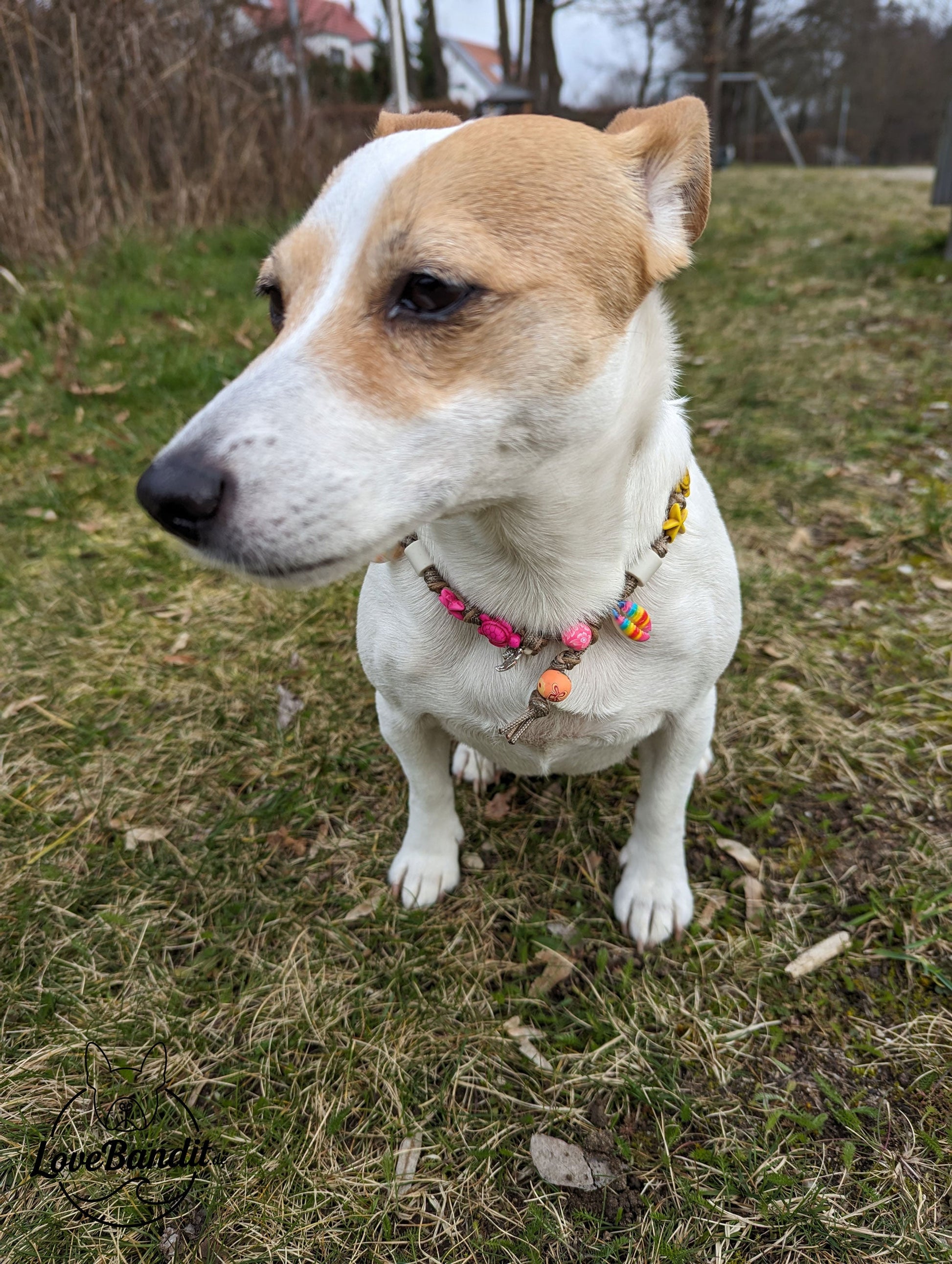 EM-Keramik Halsband bunte Muscheln Schildkröten LoveBandit
