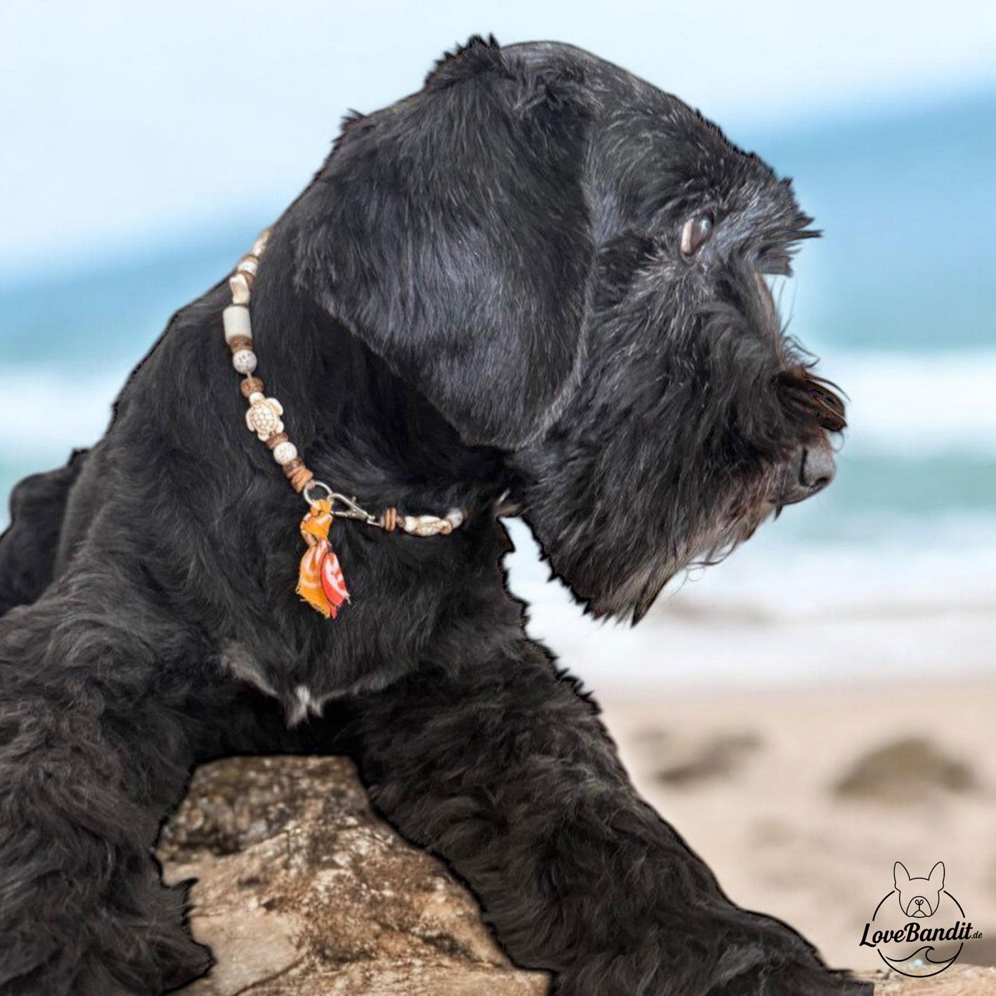 EM-Keramik Halsband Magnesit Schildkröten Seesterne Lovebandit