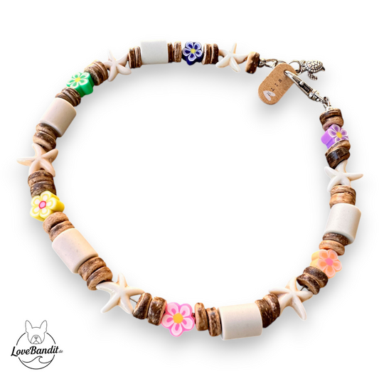 EM-Keramik-Halsband-fuer-Hunde-Seesterne-Bluemchen-bunt-LoveBandit