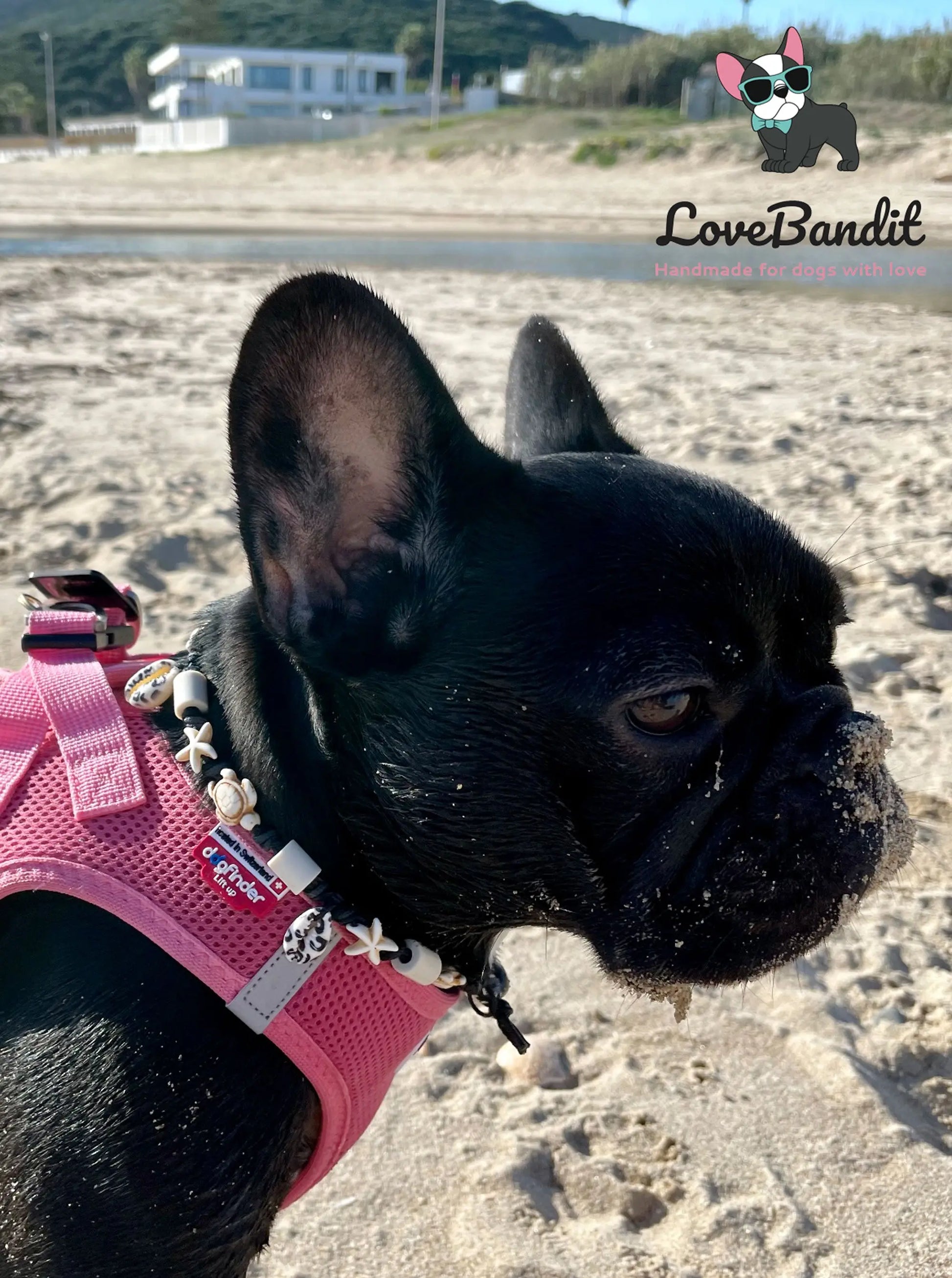 EM Keramik Hundehalsband Zeckenhalsband "Beach Surf Dog" Leo Lovebandit