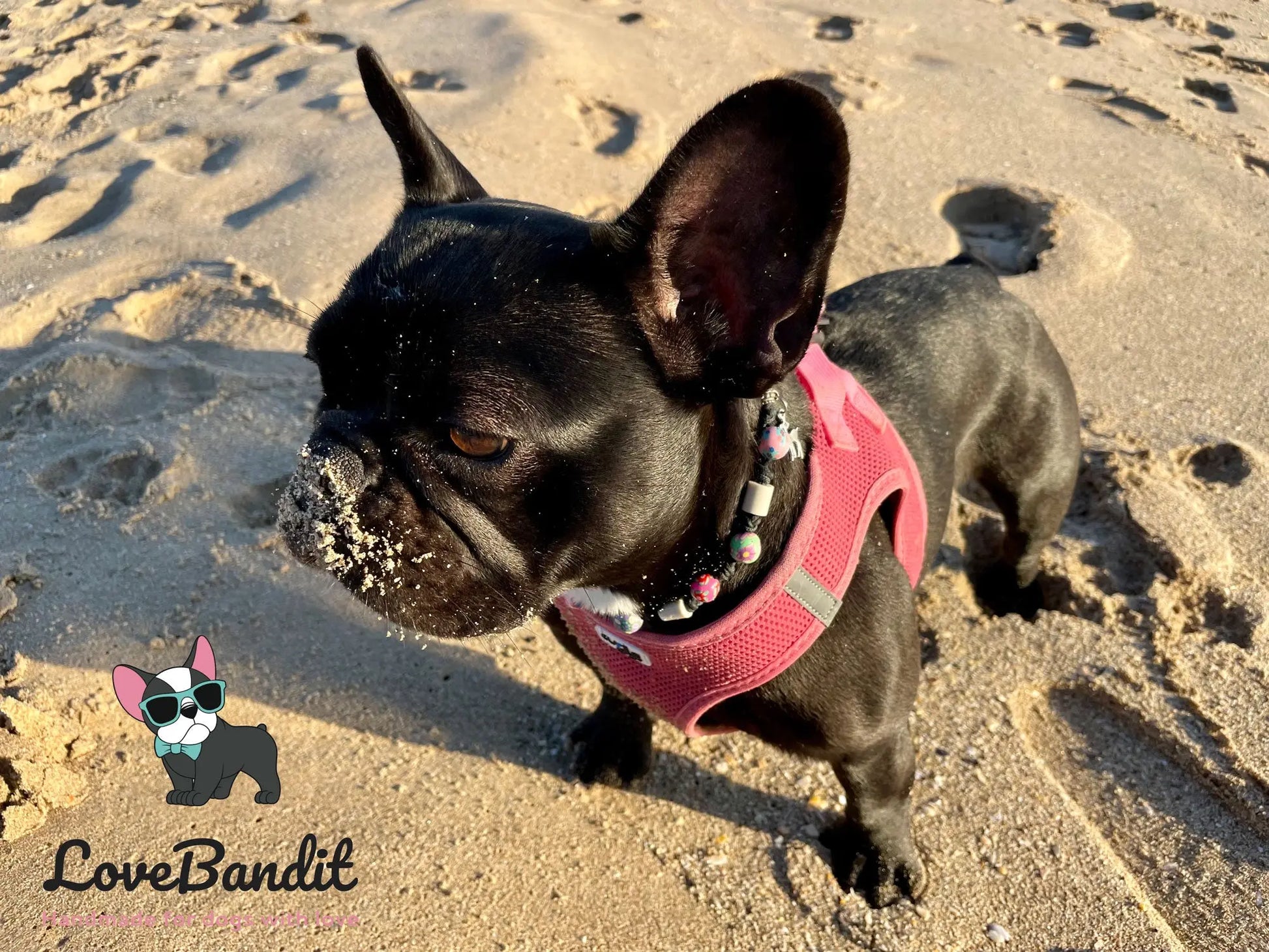 EM Keramik Hundehalsband "Bunte Perlen" LoveBandit