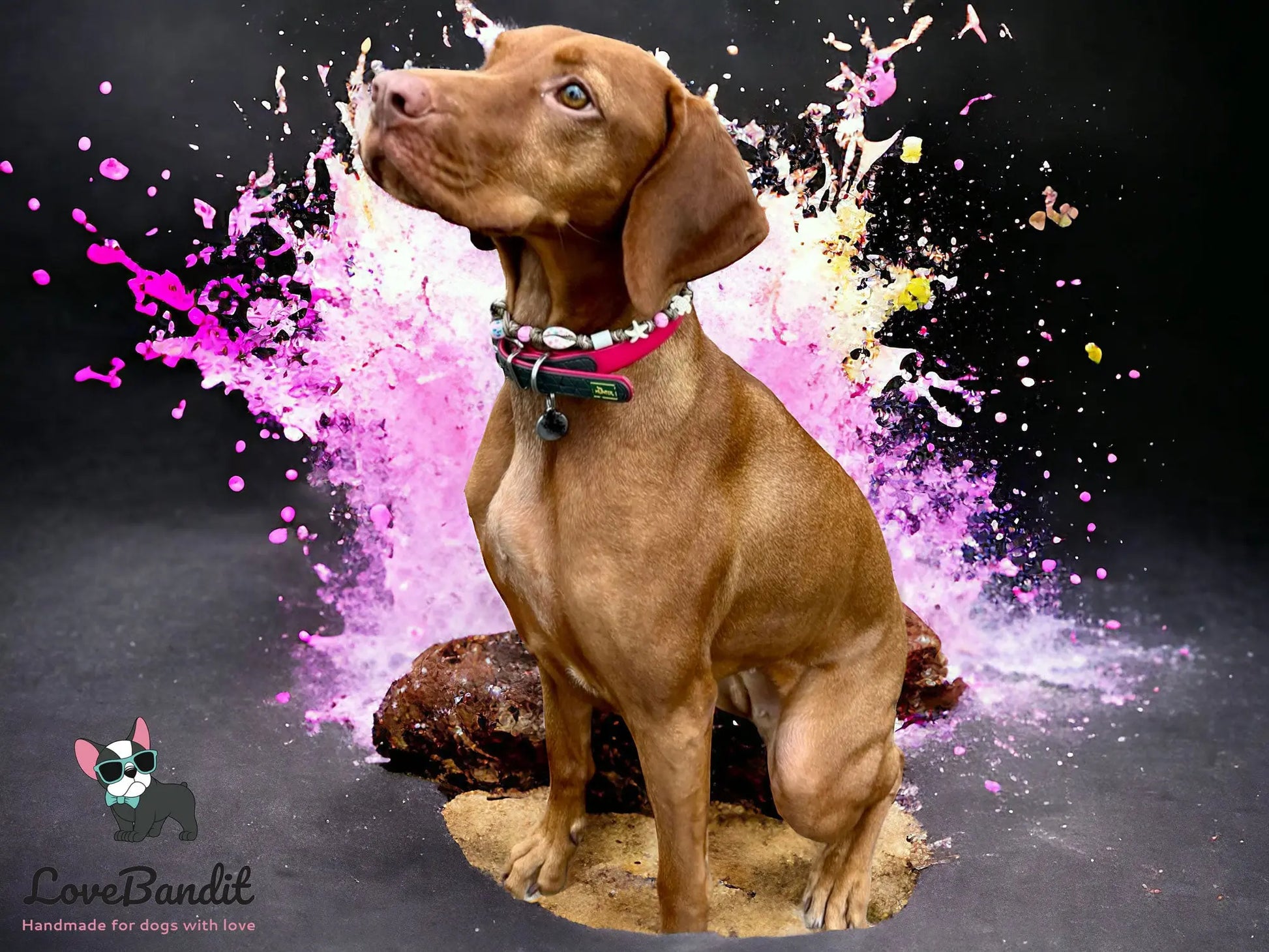 EM Keramik Hundehalsband "MAUI Girl" Pink mit bedruckten Muscheln Lovebandit