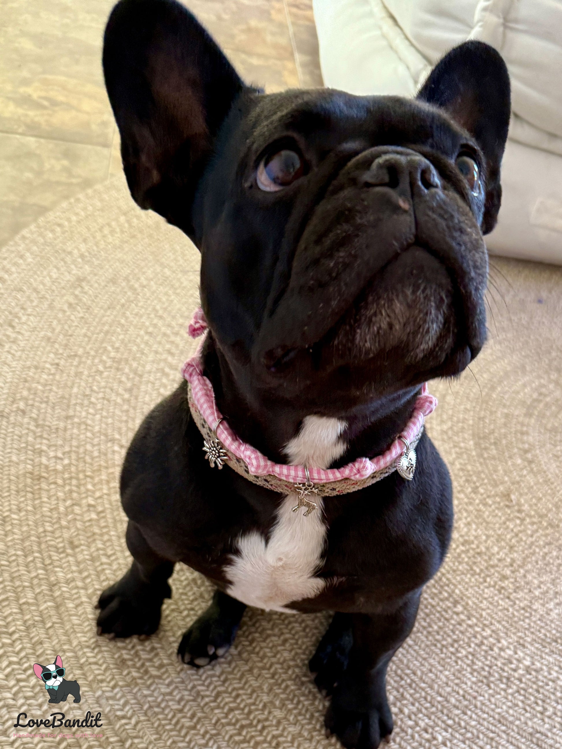 Schmuckkette für Hunde Wiesn Edition rosa Vichy-LoveBandit