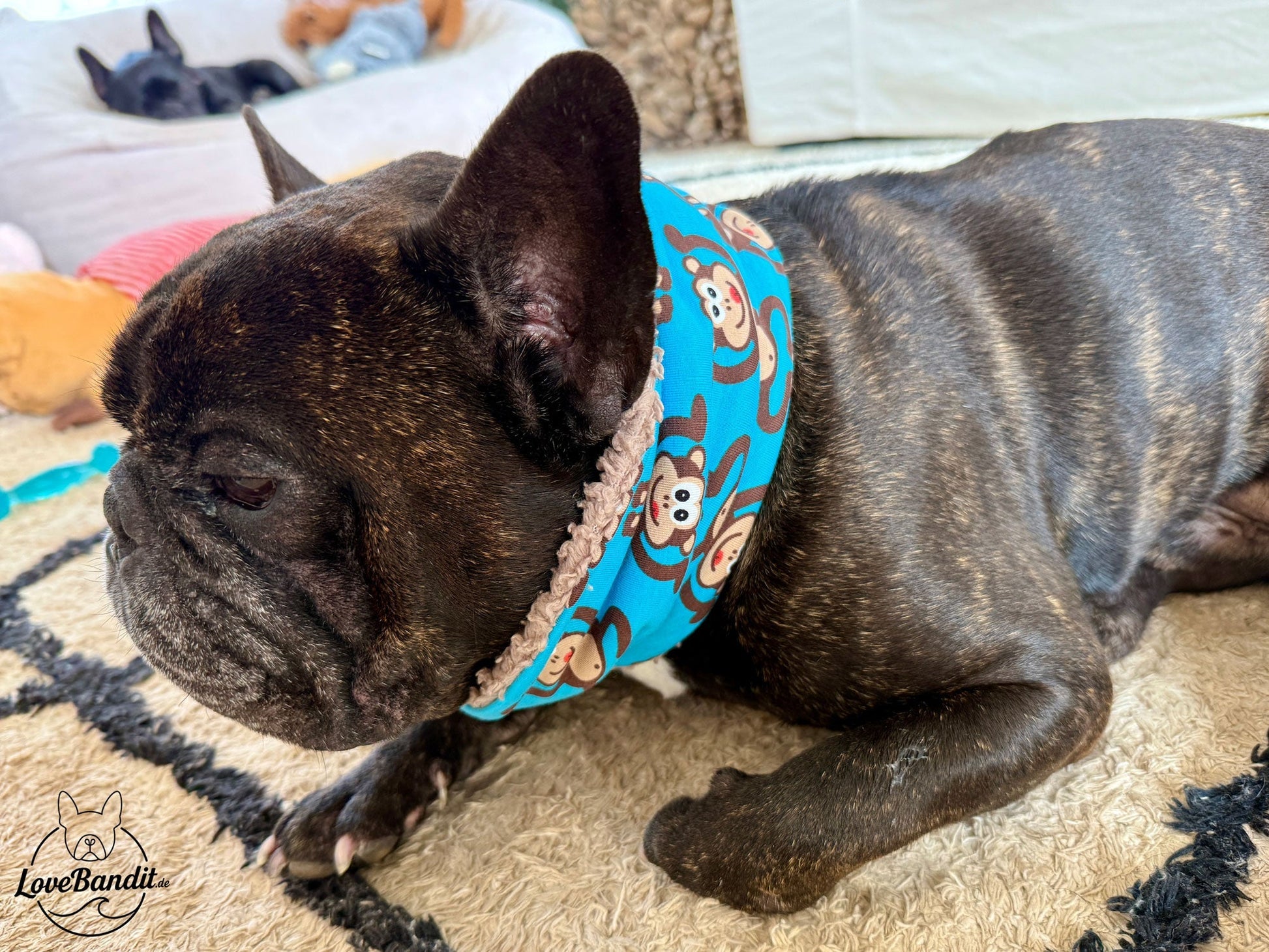 Hundeloop Hundeschal Affen braun Lovebandit