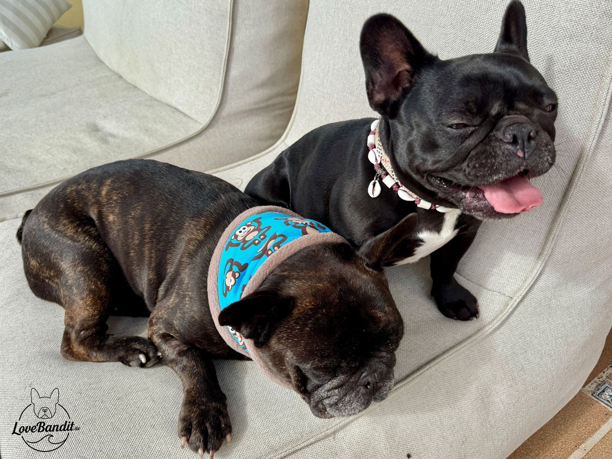 Hundeloop Hundeschal Affen blau Fleece Teddyplüsch Lovebandit