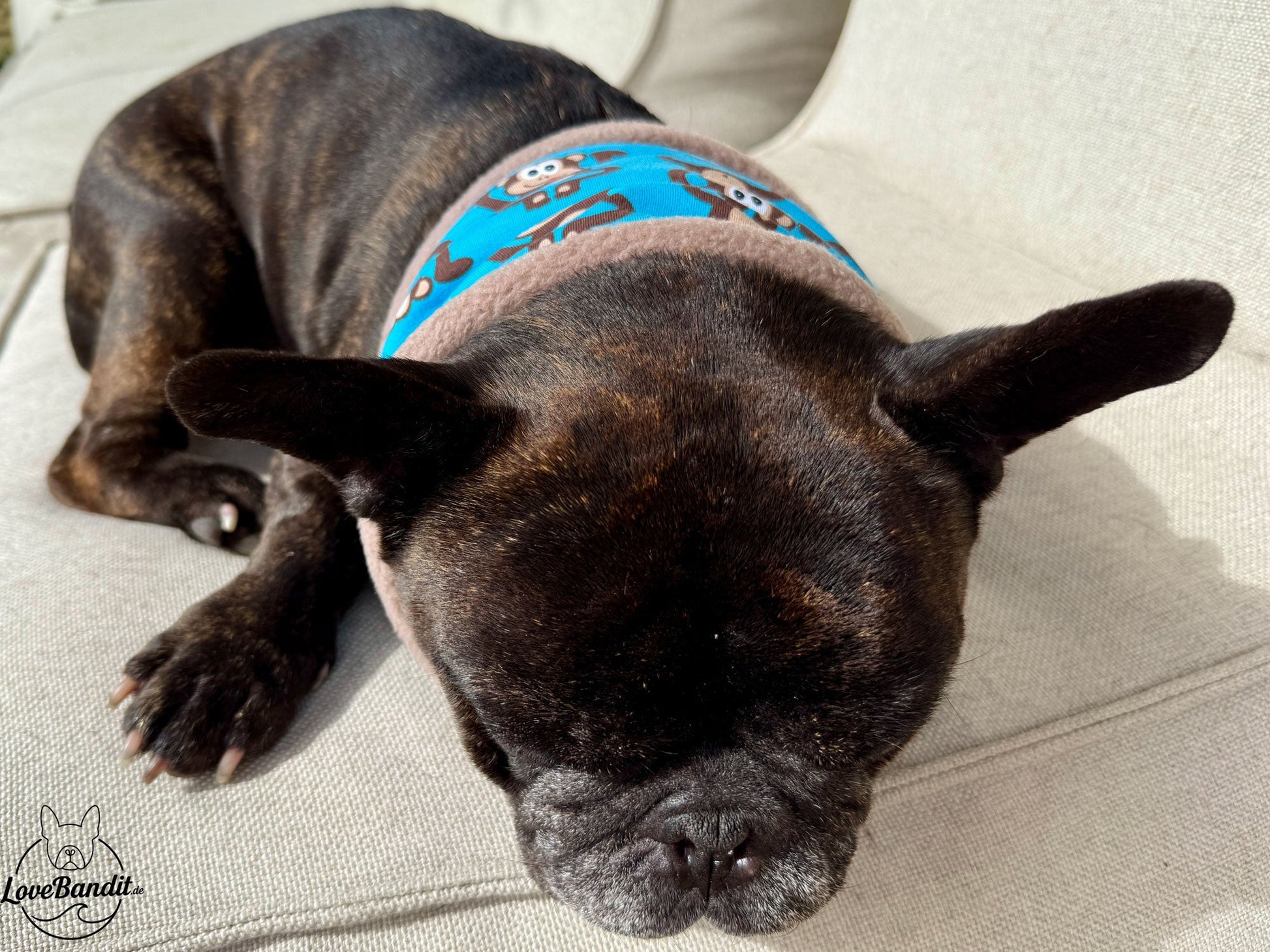 Hundeloop Hundeschal Affen blau Fleece Teddyplüsch Lovebandit